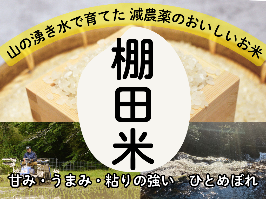 令和7年度【湧き水栽培】農薬不使用玄米　ひとめぼれ 10㎏　奈良の農家直送 令和7年新米】湧水で育てた棚田米 ひとめぼれ 特別栽培米 玄米 大分県