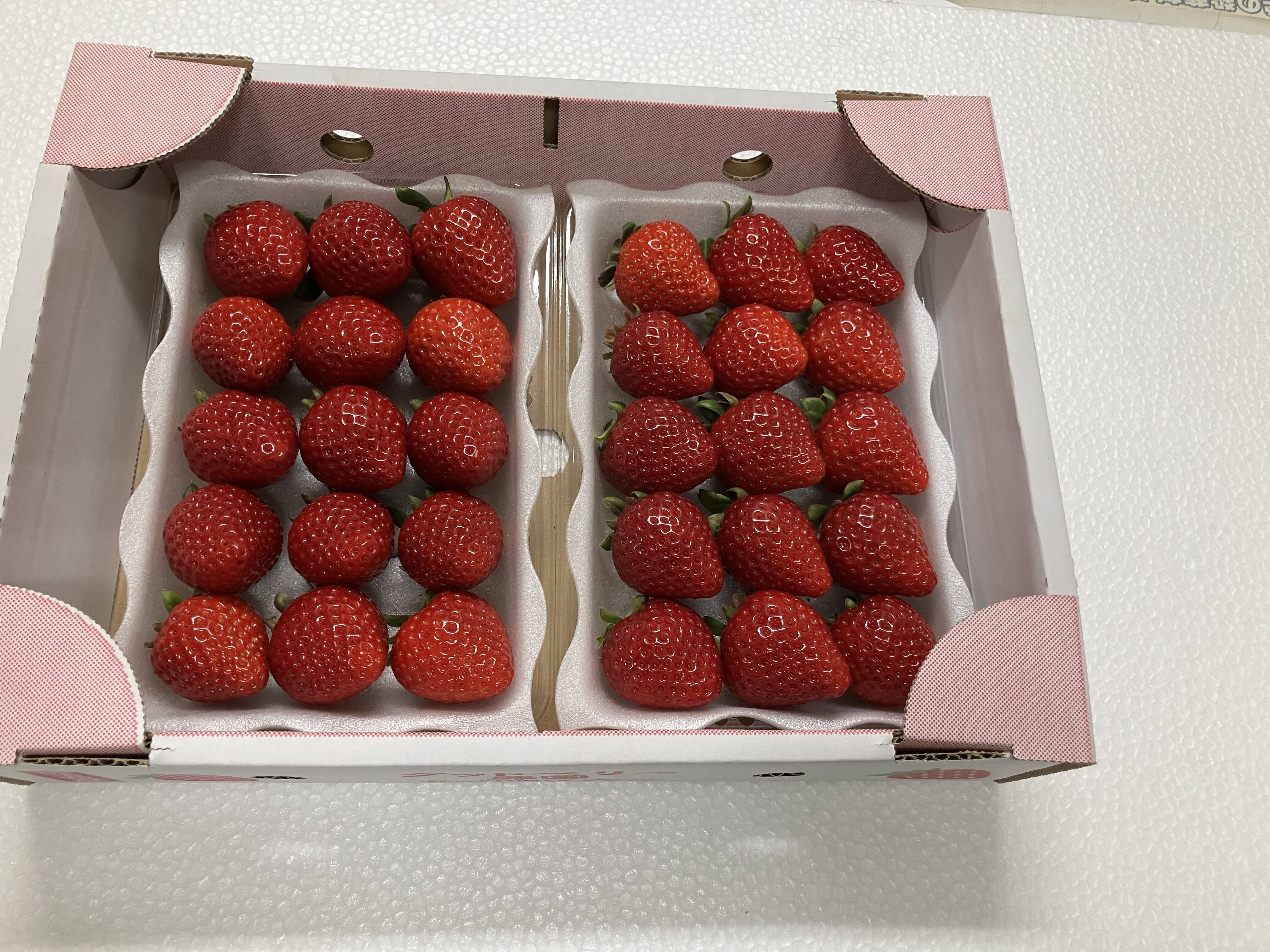 埼玉県産特選いちご あまりん べにたま 各1パック：埼玉県産のあまりん