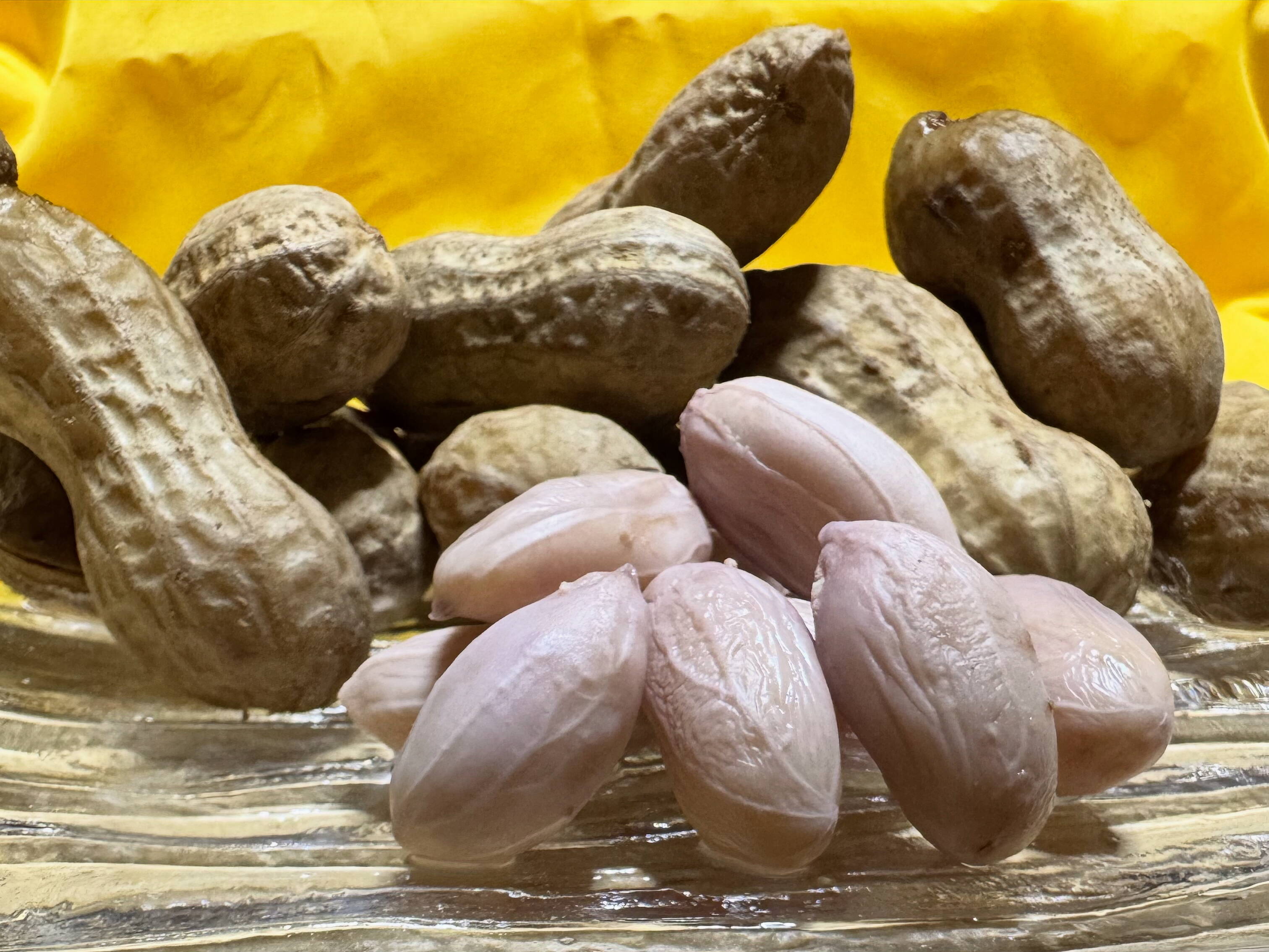 落花生　500粒　【ゆういち】 SSR品種の茹でる生落花生】「愛の香り」解禁っ《500g》【もっと甘いよ