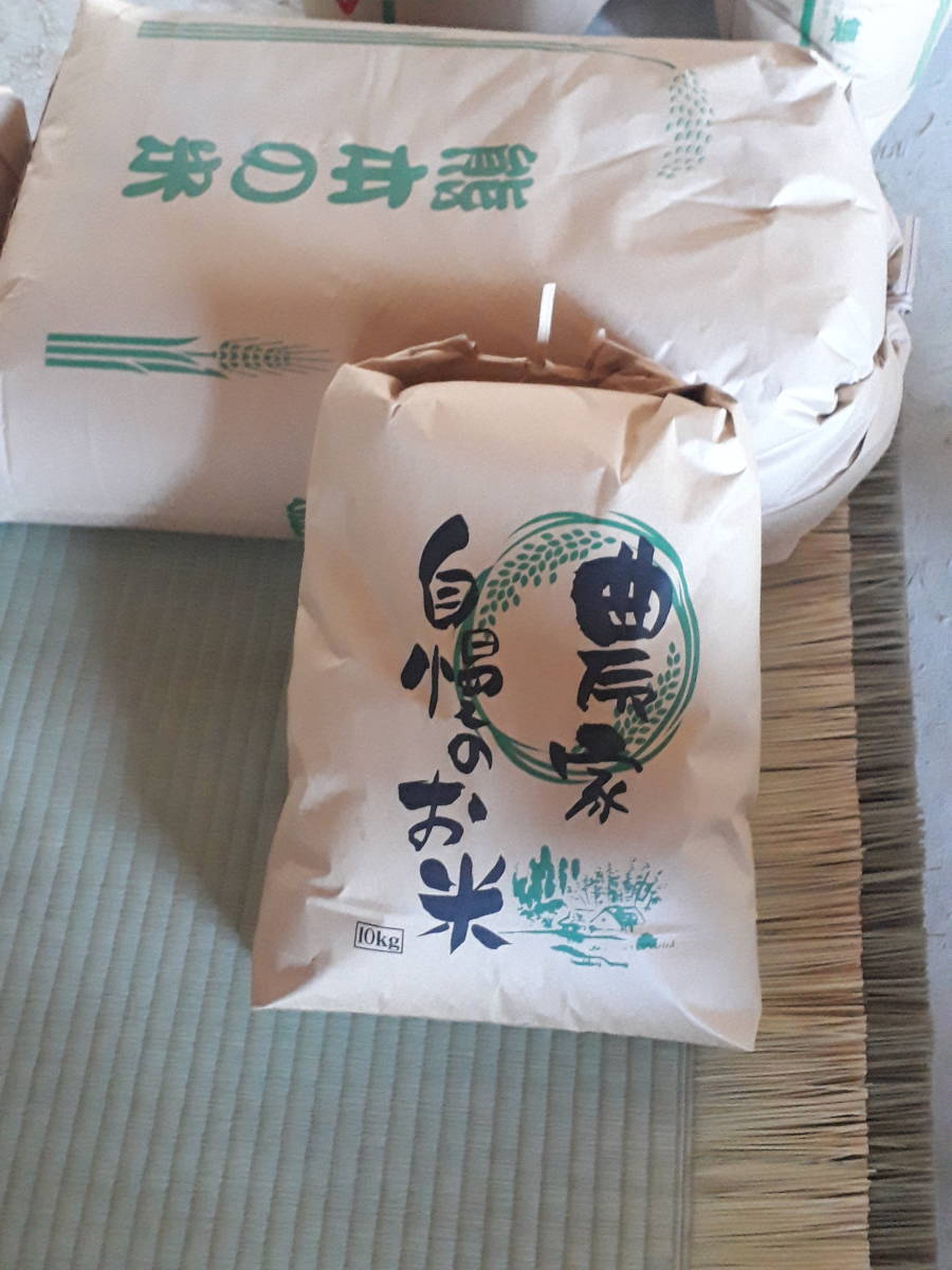キヌヒカリ玄米20kg 新米 玄米 キヌヒカリ 熊本県産 令和7年度産 20kg：熊本県産の