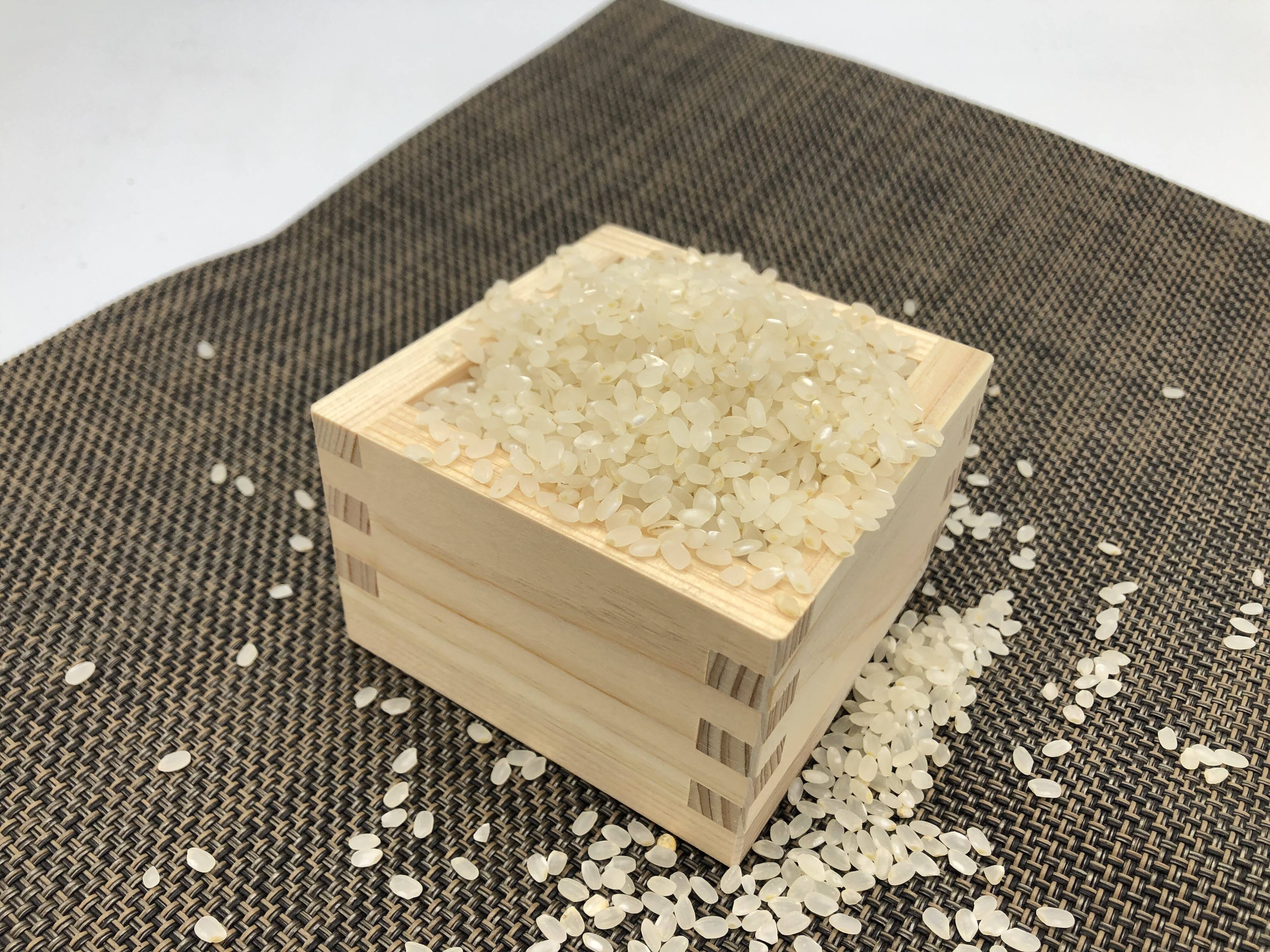 みもざ 玄米１０キロ 2024年産 自然農法 2024年産 新米 自然栽培米【年12回発送お米定期便】《ササニシキ