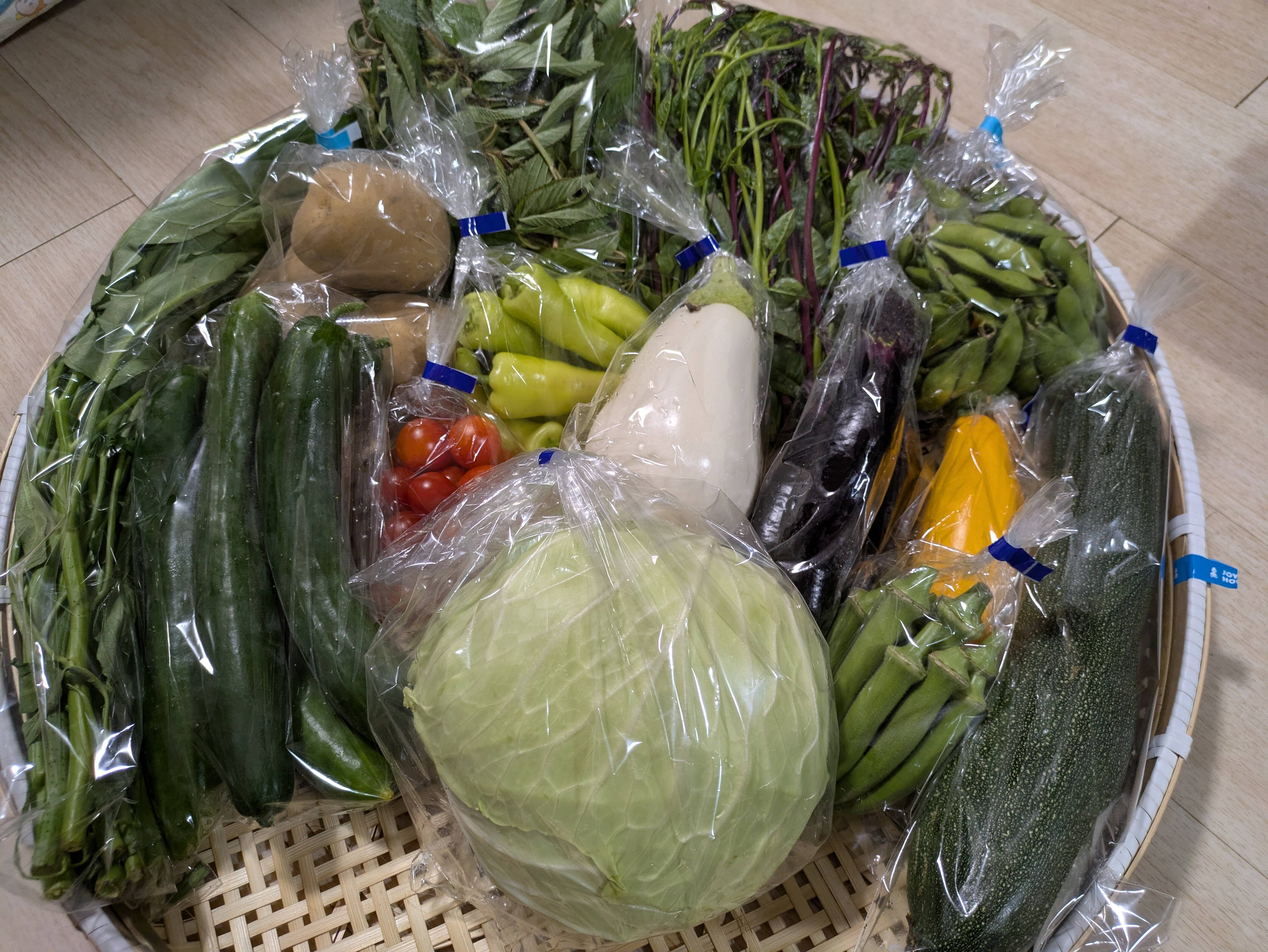 夏本番！旬の野菜セット7〜8品：茨城県産の野菜セット｜食べチョク