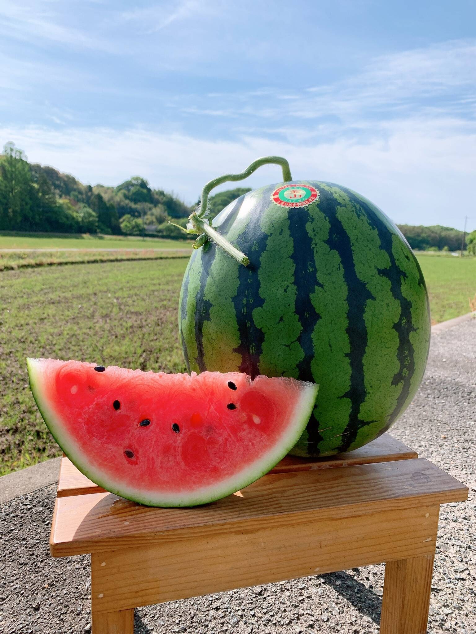 最低価格の 幻】金山すいか 大玉 6kg～7kg：熊本県産のその他スイカ 1玉 調理器具