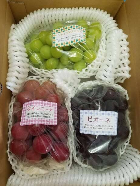 9/21-30：2〜3房】旬のぶどう詰め合わせセット（品種おまかせ／約1.3kg