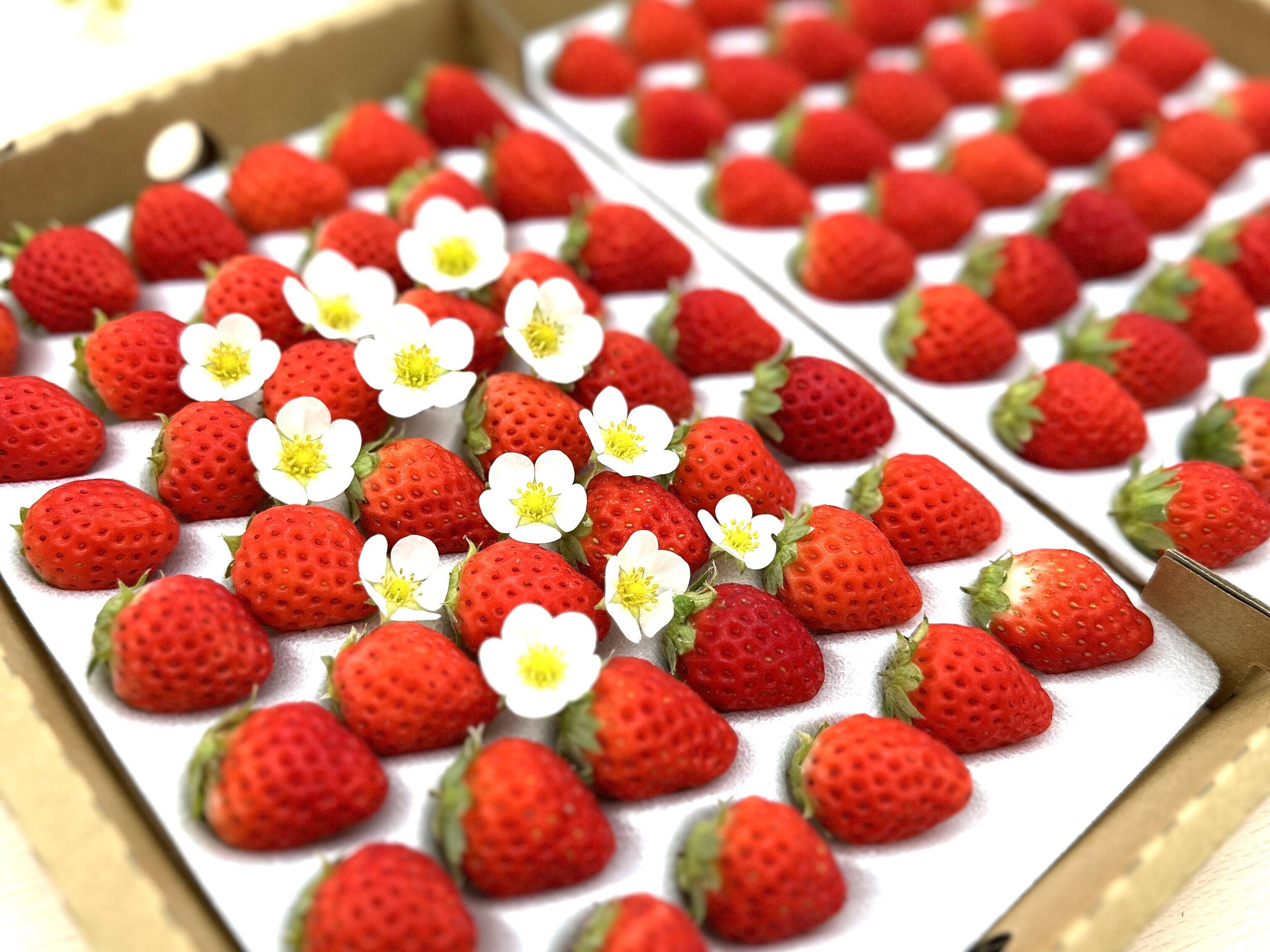 f6eadbcca11104e59d8a5ad20d7629