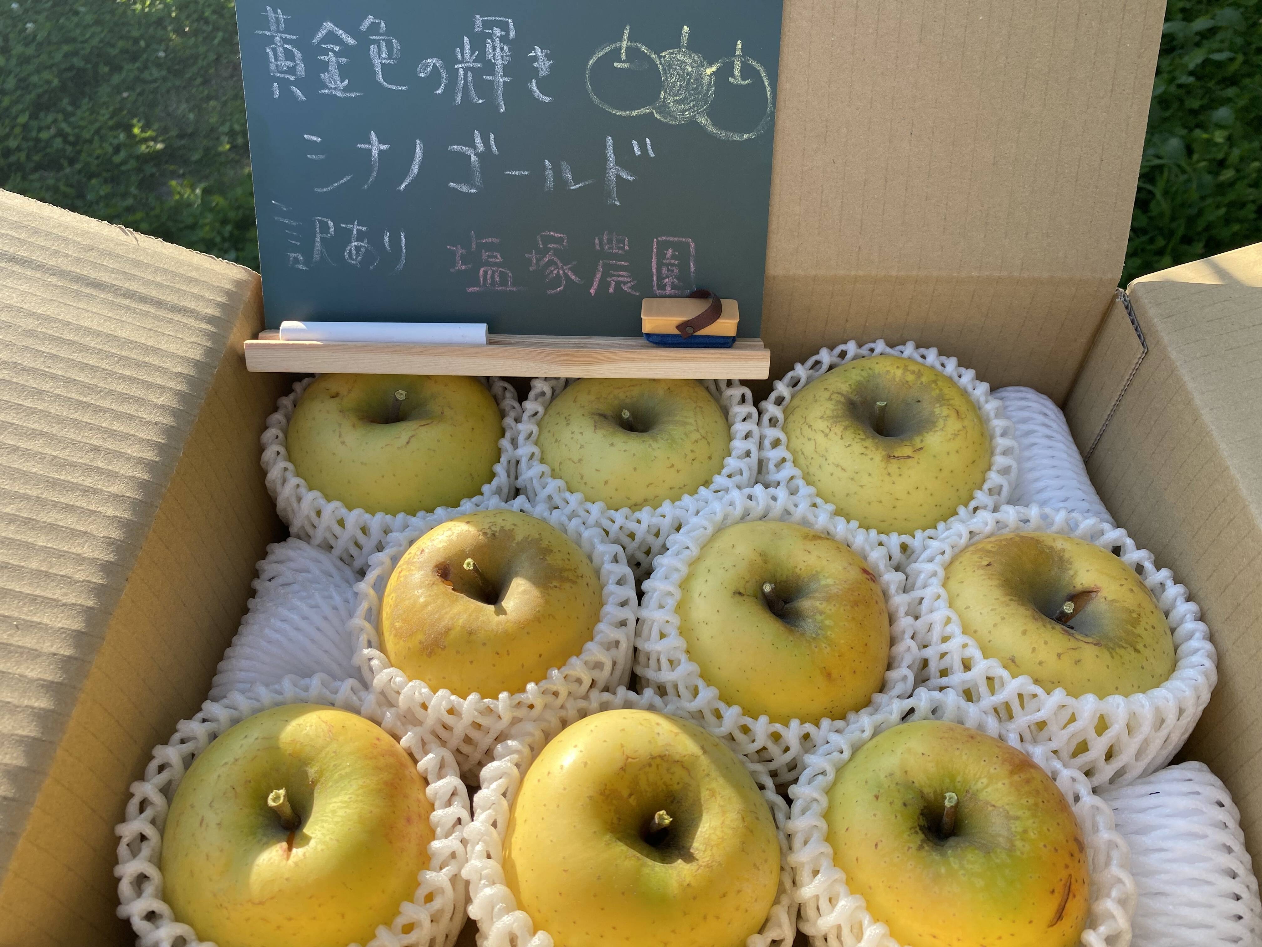 予約】訳あり 黄金色の輝き！シナノゴールド『信州りんご』6kg（3kg