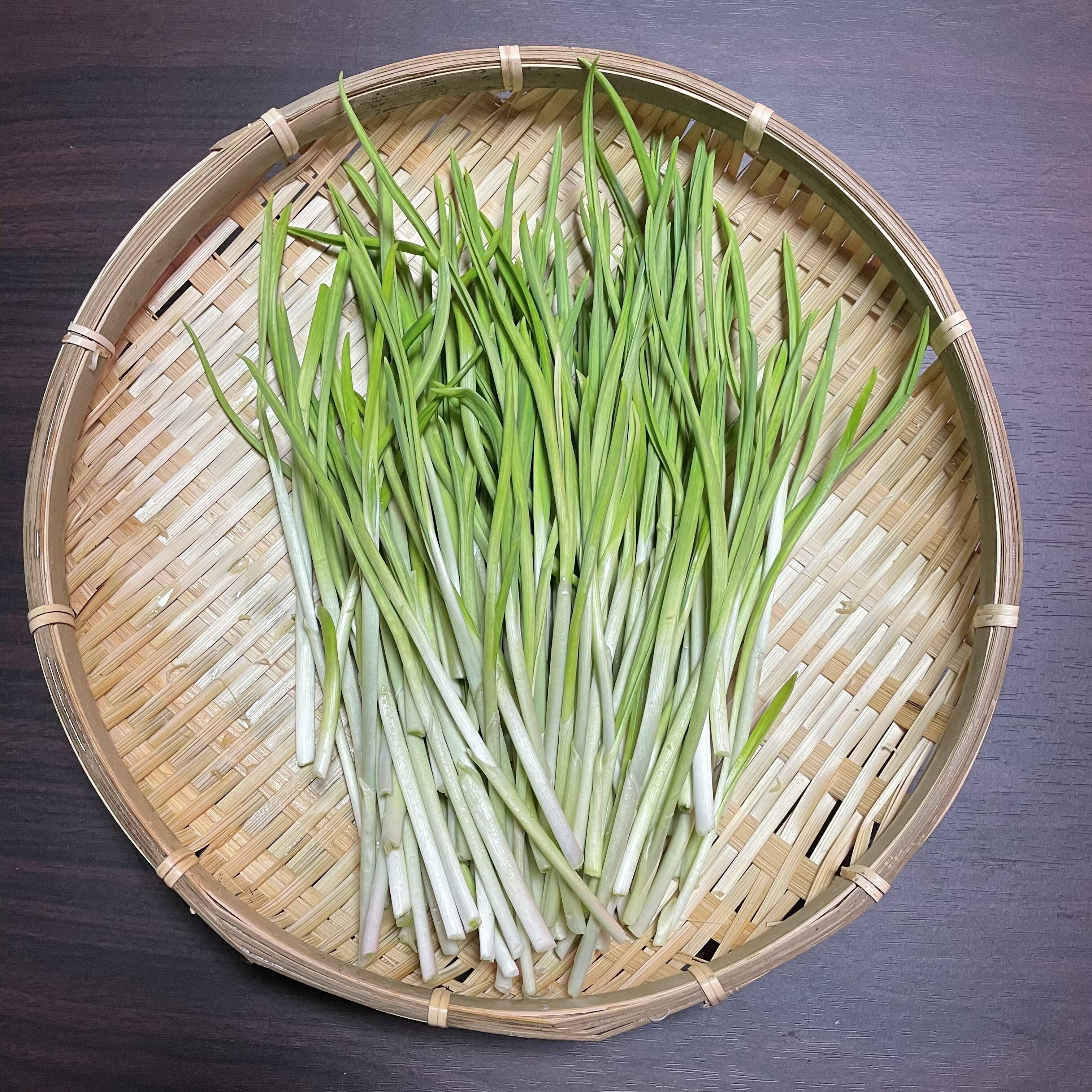 葉にんにく 約300g 愛媛県産 ネコポス - 野菜