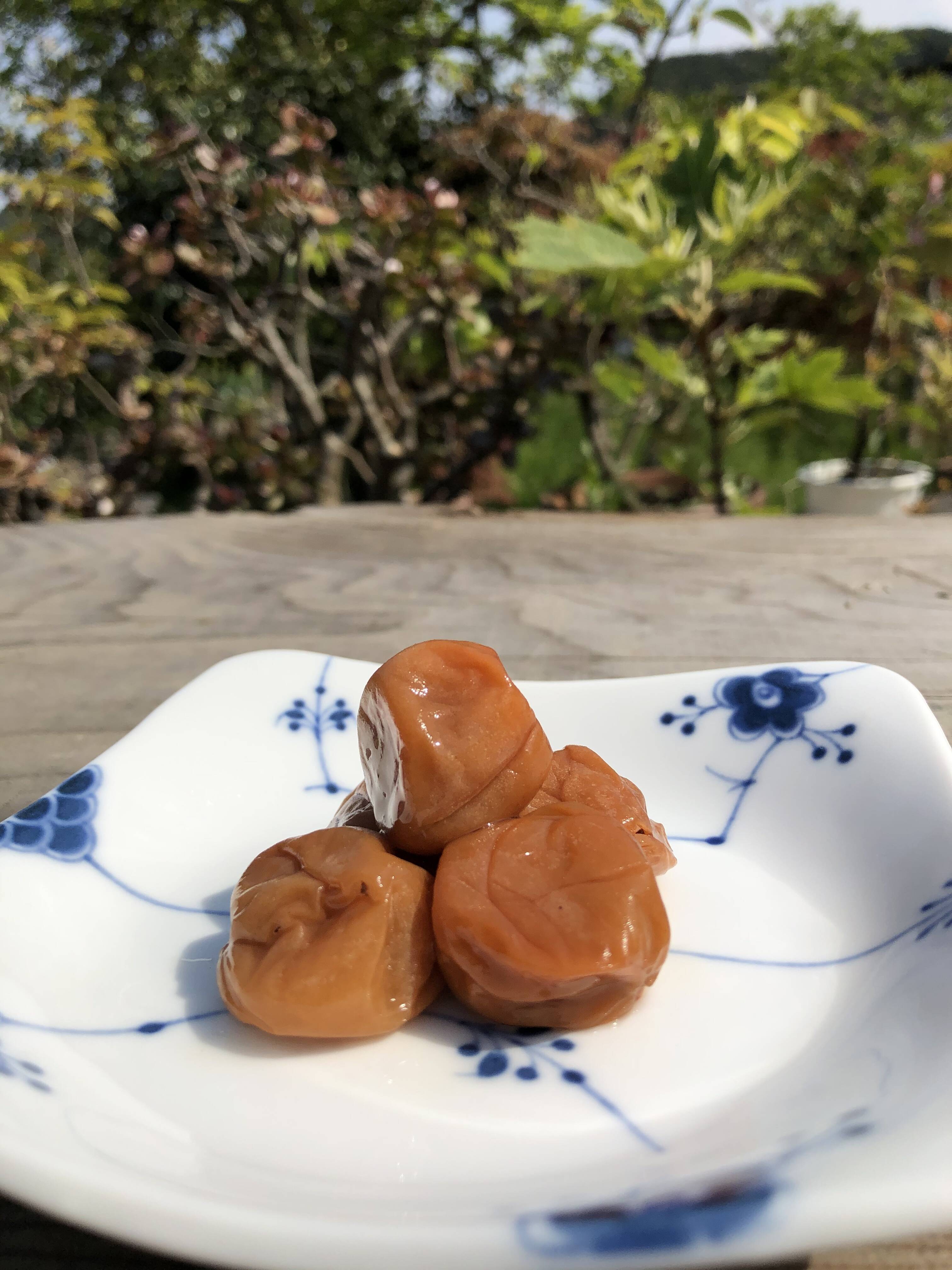 いい塩梅！昔ながらの 無添加 梅干し 300g 埼玉県 越生町産