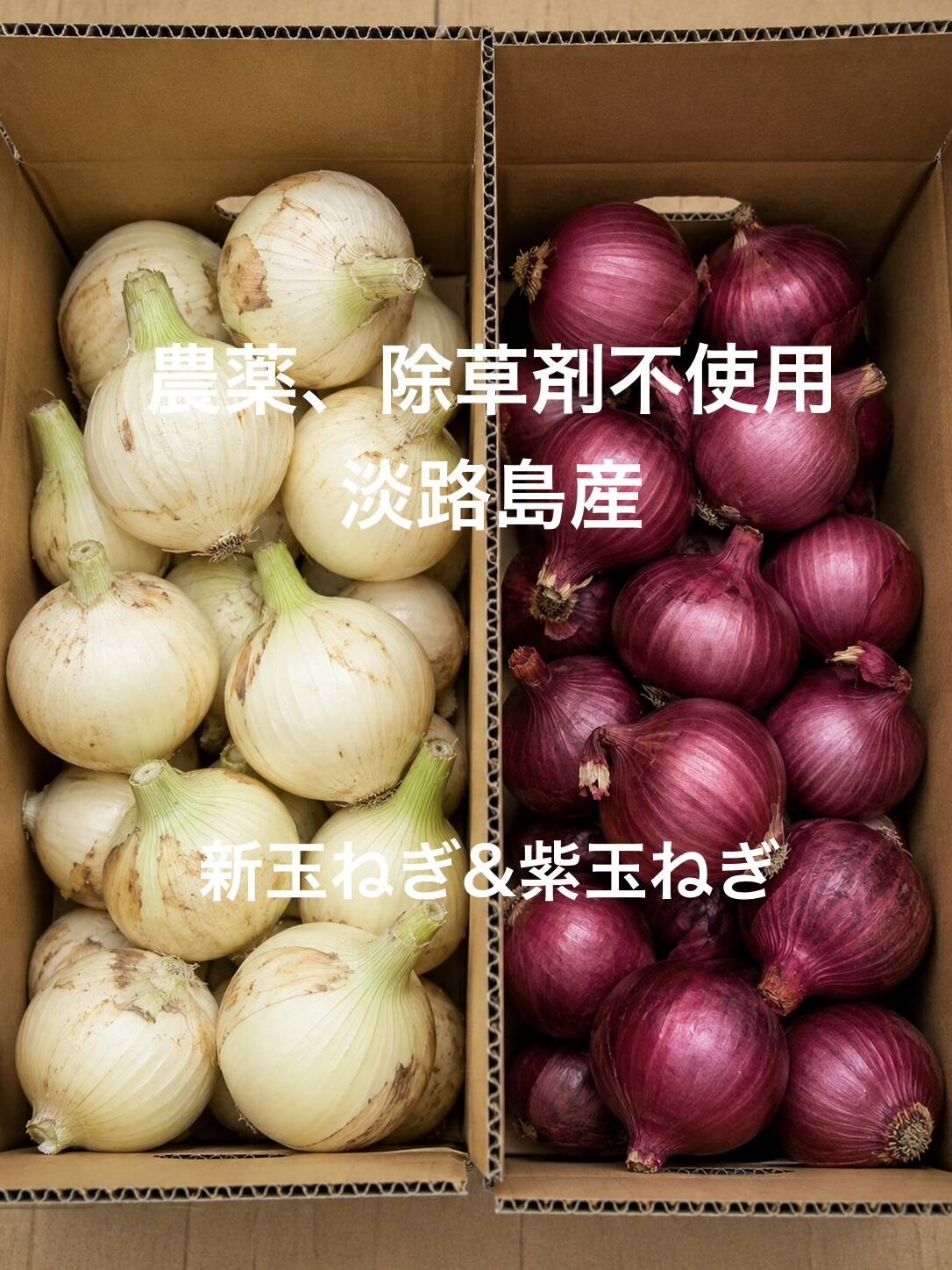 農薬、除草剤不使用！【数量限定】淡路島新玉ねぎ1kg 紫玉ねぎ1kg 計