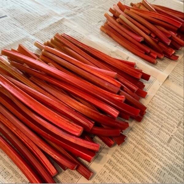 朝採り新鮮！赤いルバーブ 5kg 健康野菜：長野県産のその他茎野菜