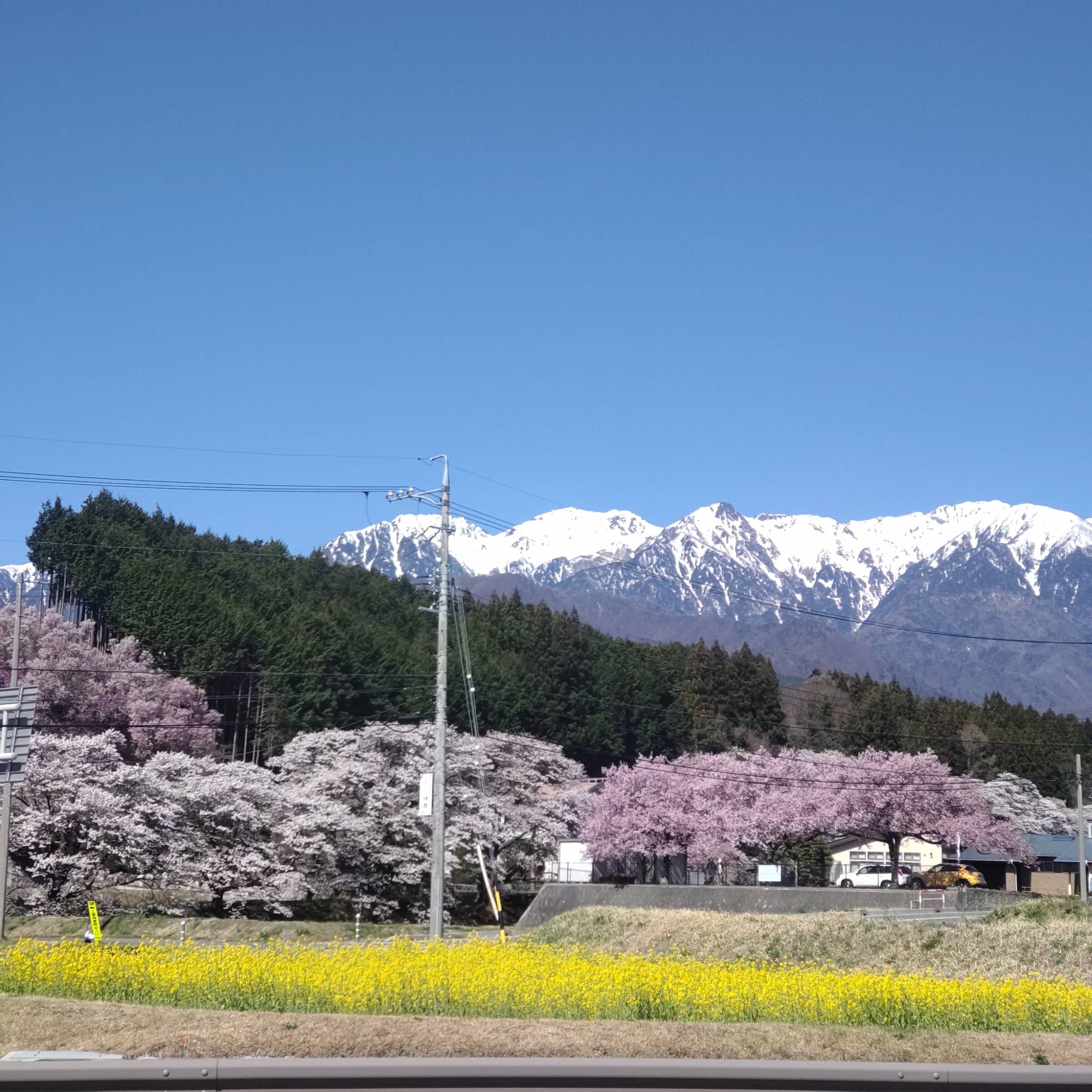 アスパラガスの配送をスタートしました｜食べチョク｜産地直送(産直)お取り寄せ通販 - 農家・漁師から旬の食材を直送