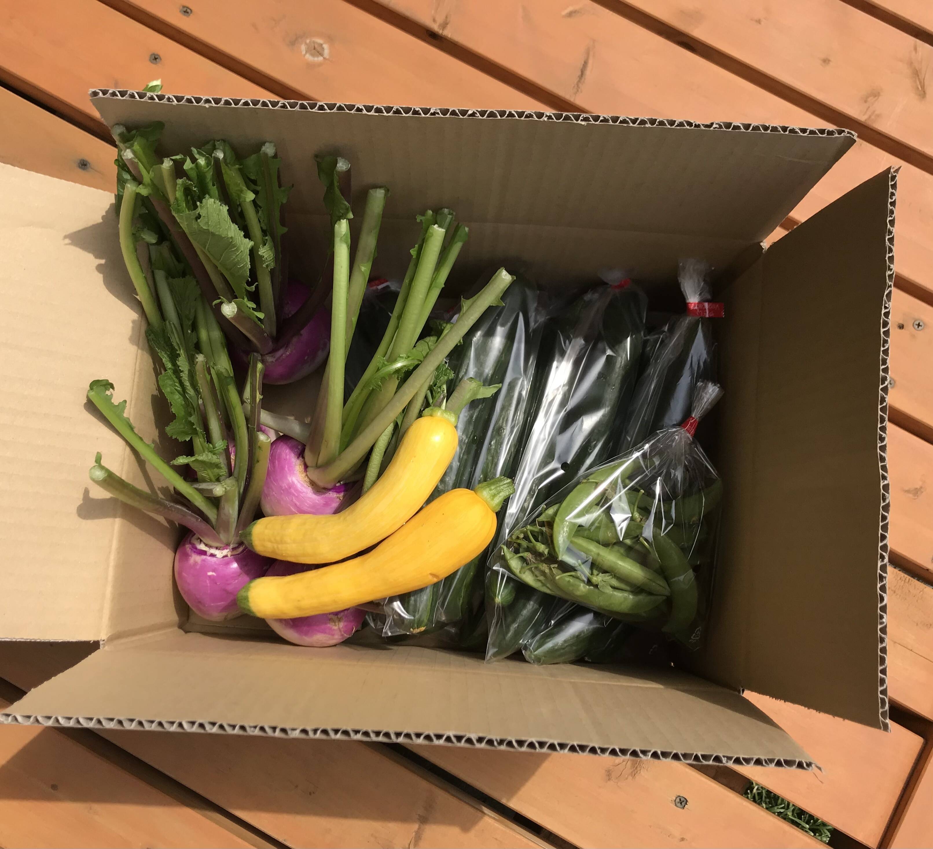 わんぱく農園の感動野菜BOX(7〜10品)：茨城県産の野菜｜食べチョク｜産地直送(産直)お取り寄せ通販 農家・漁師から旬の食材を直送