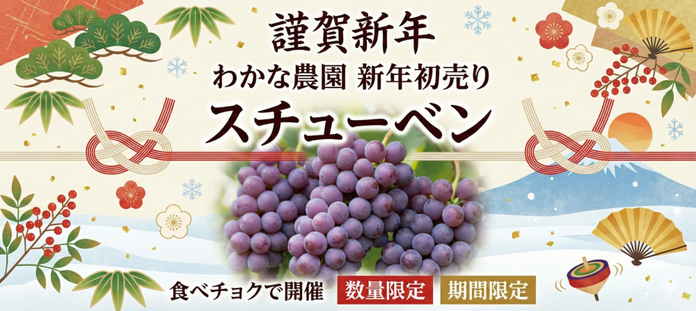 農家直送】青森県産スチューベン（秀品）2kg：青森県産のスチューベン