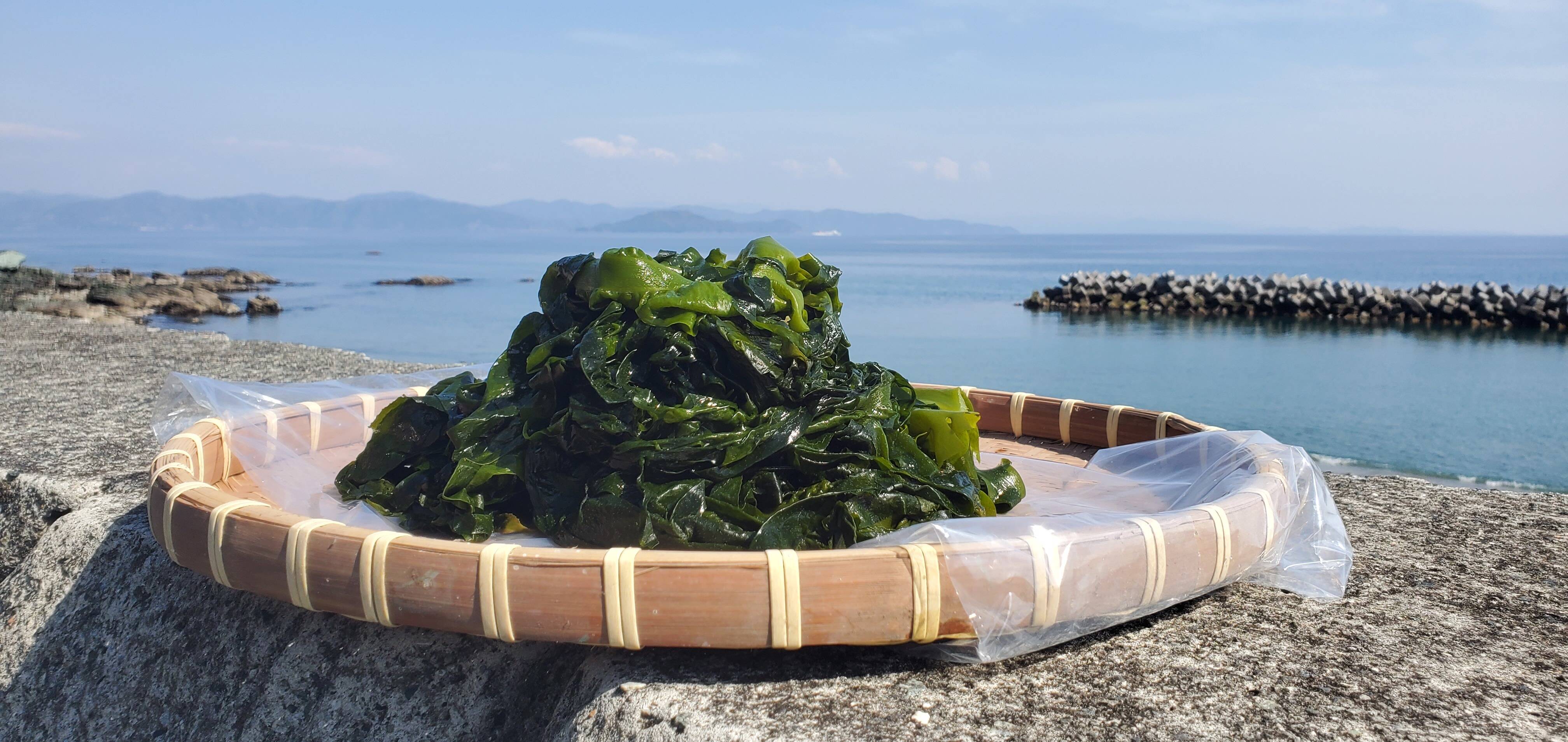 わかめ。 Shop Mohawk Everstrand Trivia Flax Seed 3K27-789 In-Stock Carpet