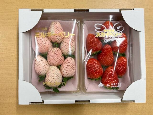 f7e928c597a4c9cd184e75263b5360