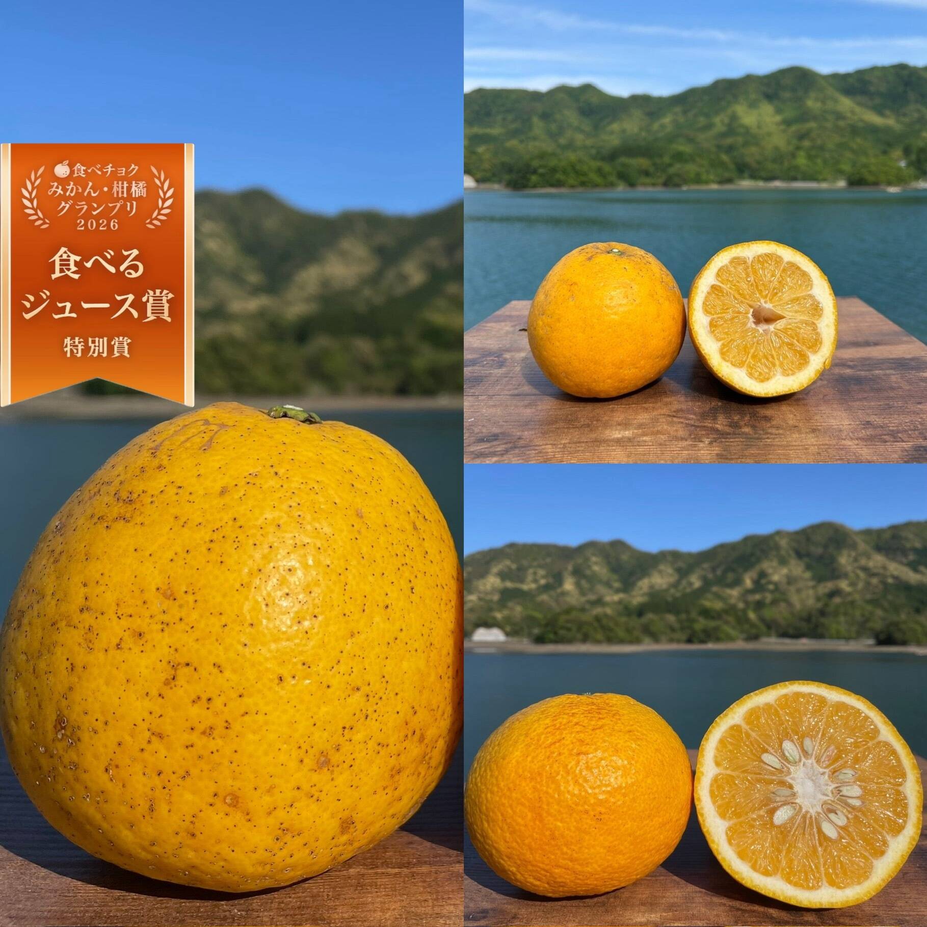 箱込み4kg 3種の柑橘（河内晩柑・紅河内晩柑・甘夏）【柑橘食べ比べ