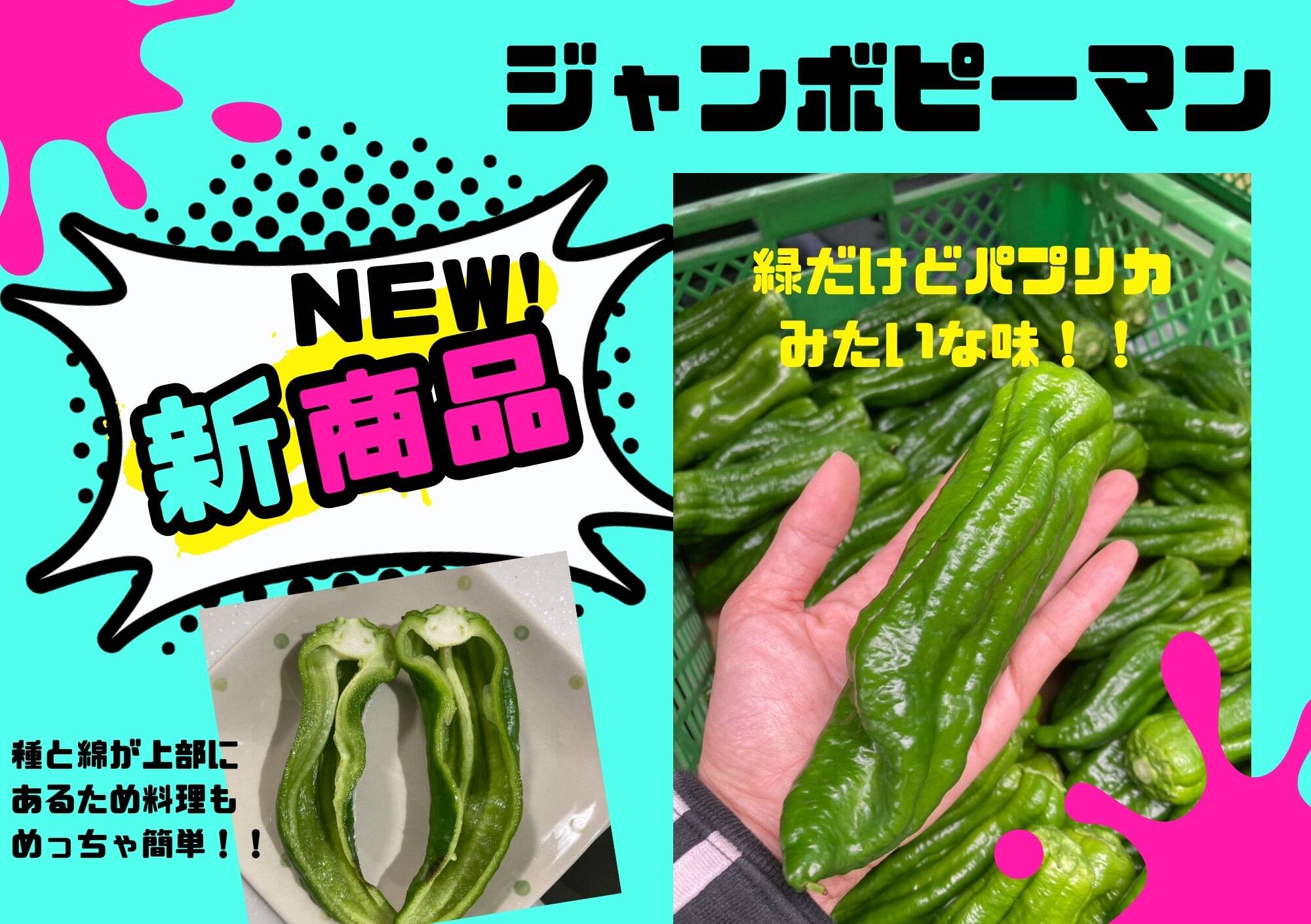 オットコマエ・ピーマン 衝撃的な巨人ジャンボピーマン1.5kg 苦味が少なく肉厚、食感がくせに