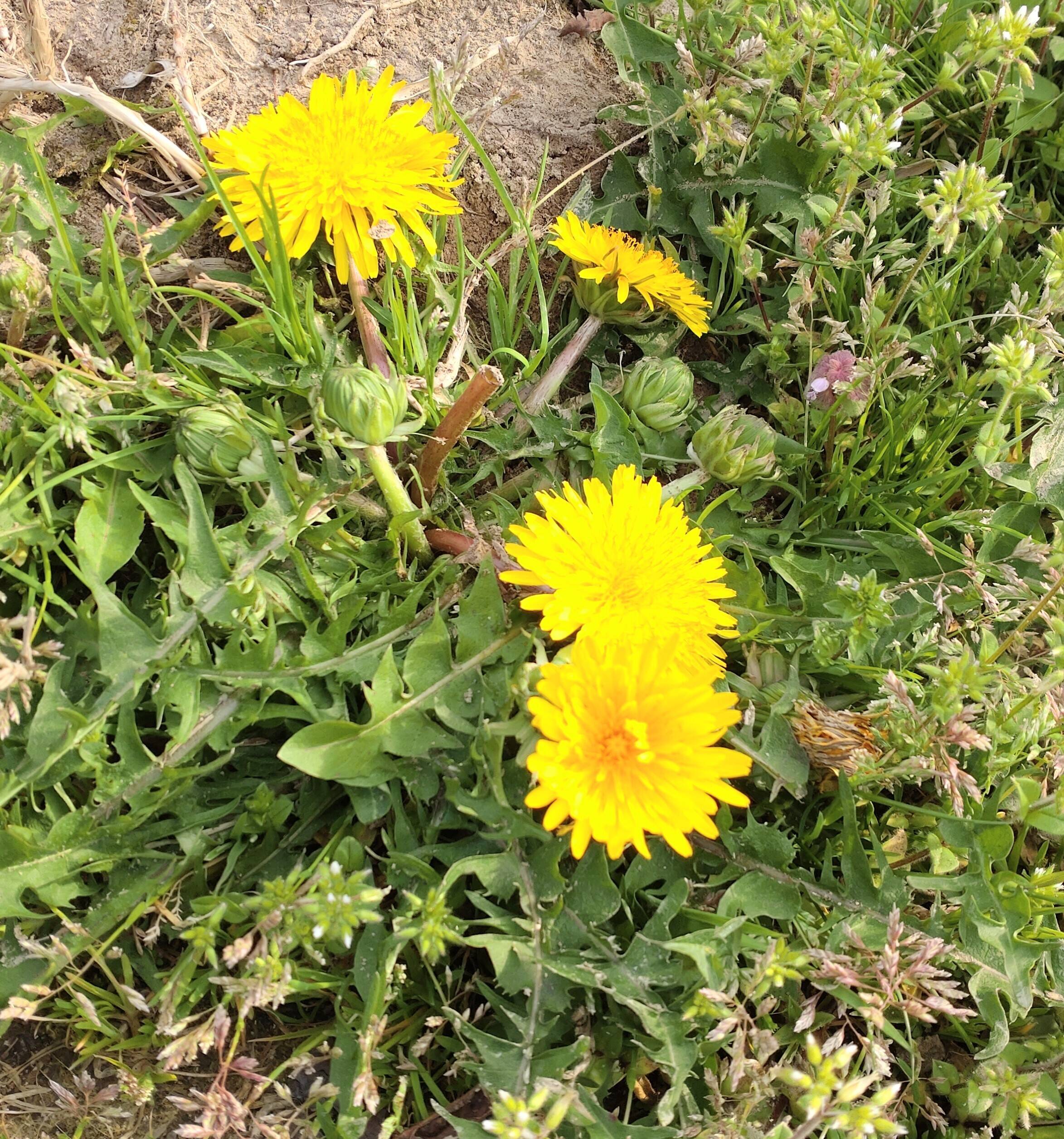 f8601635676f431a2300e6f724ba0d