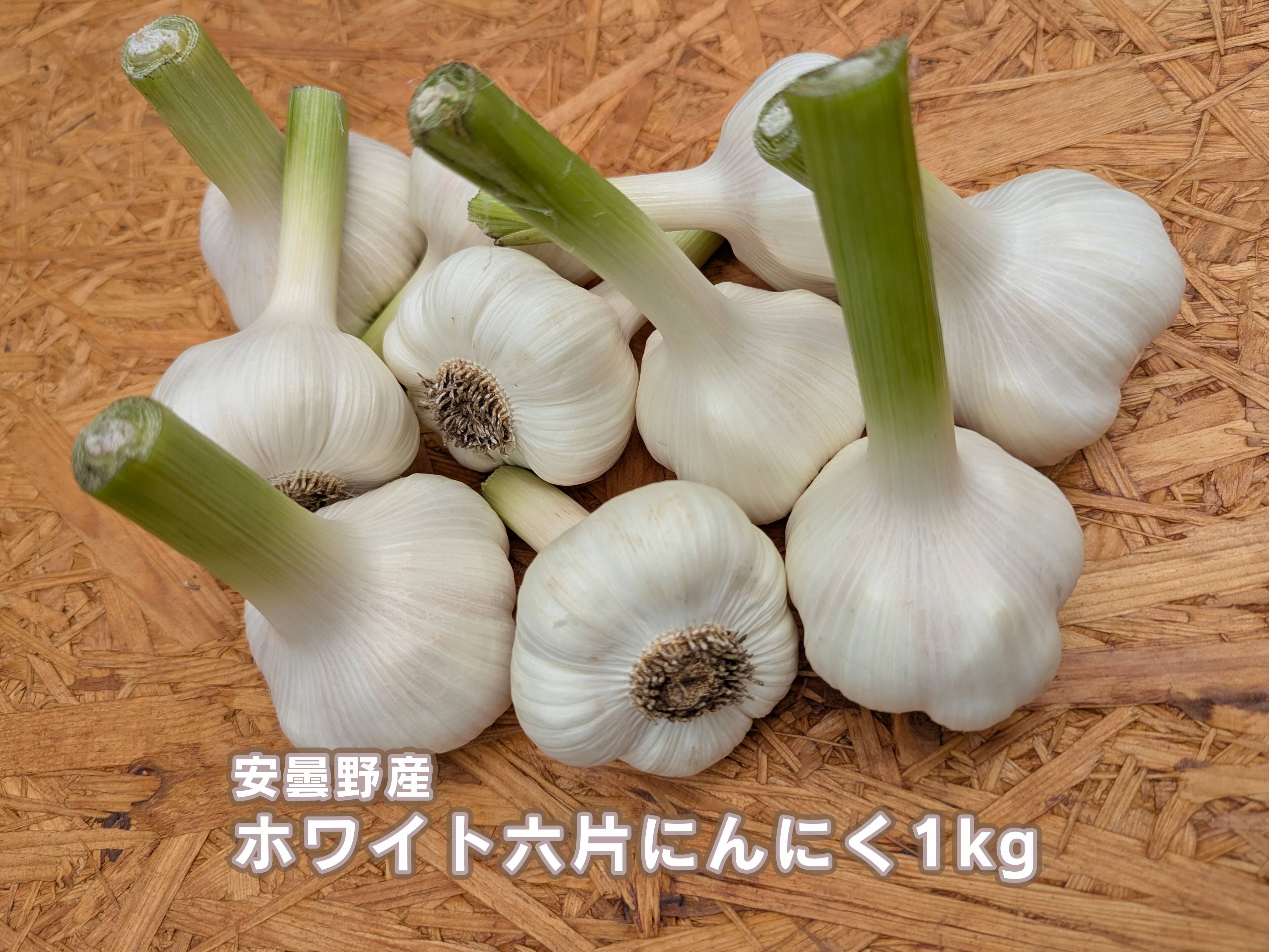 安曇野産 ホワイト六片にんにく1kg：長野県産の福地ホワイト｜食べ
