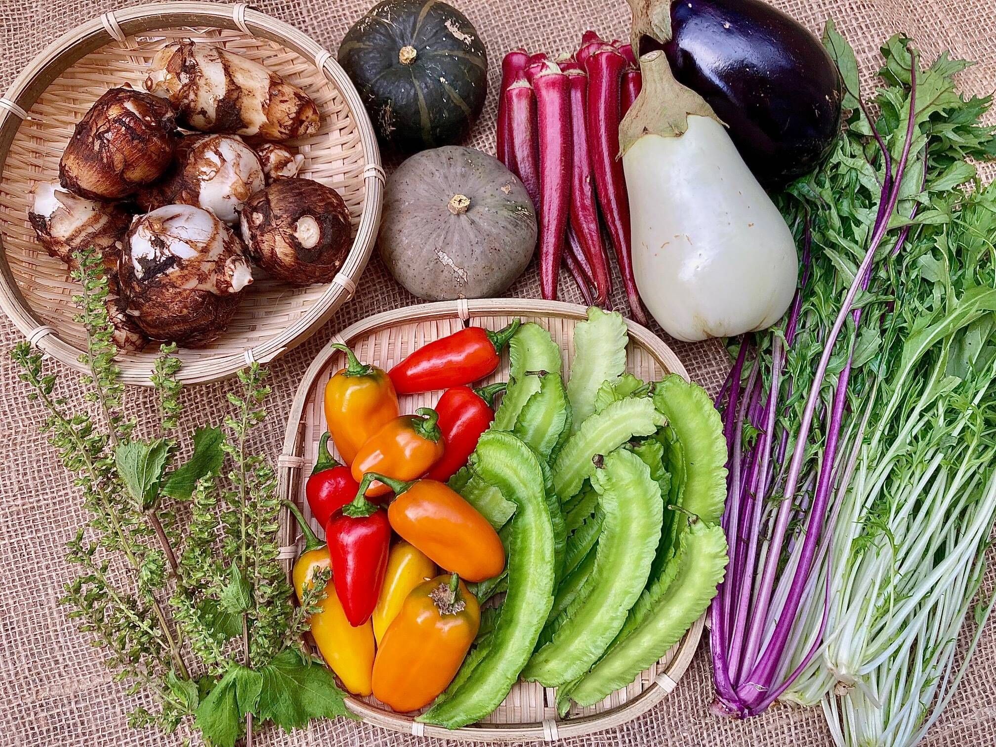 初回ご購入者様限定 栽培期間中農薬 化学肥料不使用 高栄養価 旬野菜詰め合わせmセット 80サイズ 7 9品 初回限定box 千葉県産の野菜セット 食べチョク 産地直送 産直 お取り寄せ通販 農家 漁師から旬の食材を直送