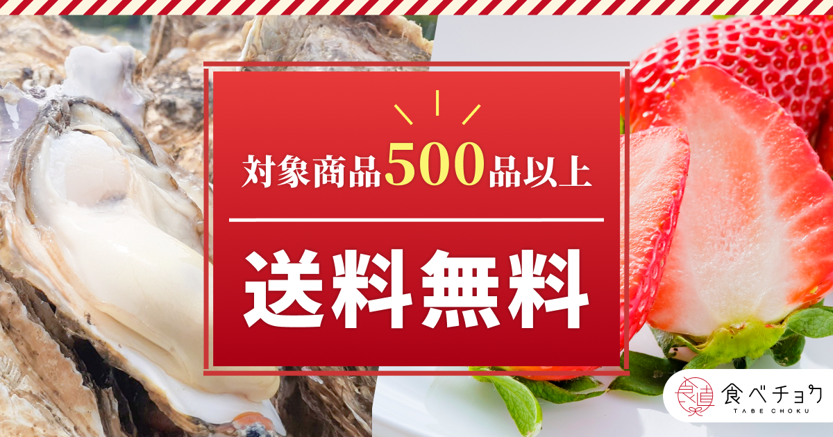 【送料無料は終了しました】【初めての方限定】700円クーポンで楽しみたい！送料無料商品特集