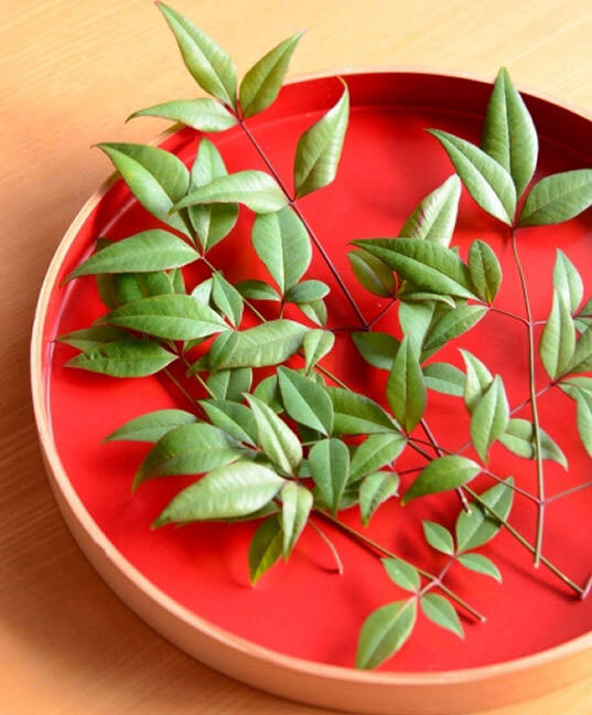 f8c94e5563dcd17bf911b48af5aef6