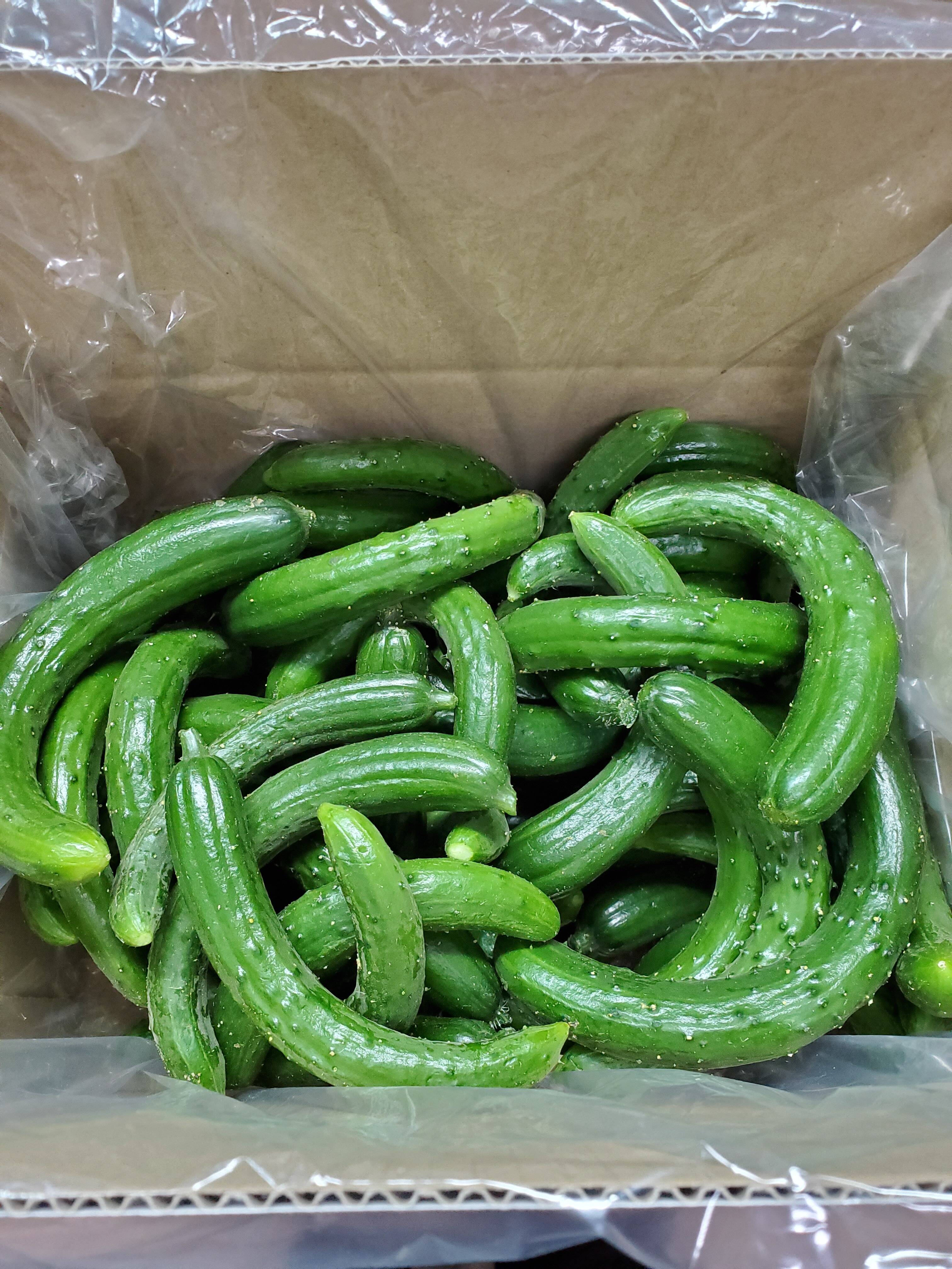 f8d112e53f2112e318c99665807244