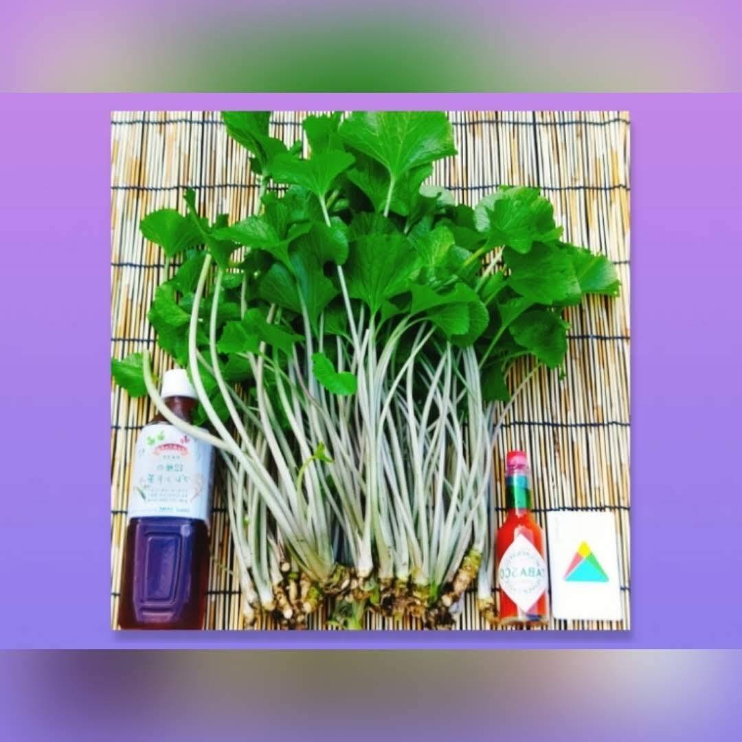 f8e7c3efe3392b09b870f958e99c6e