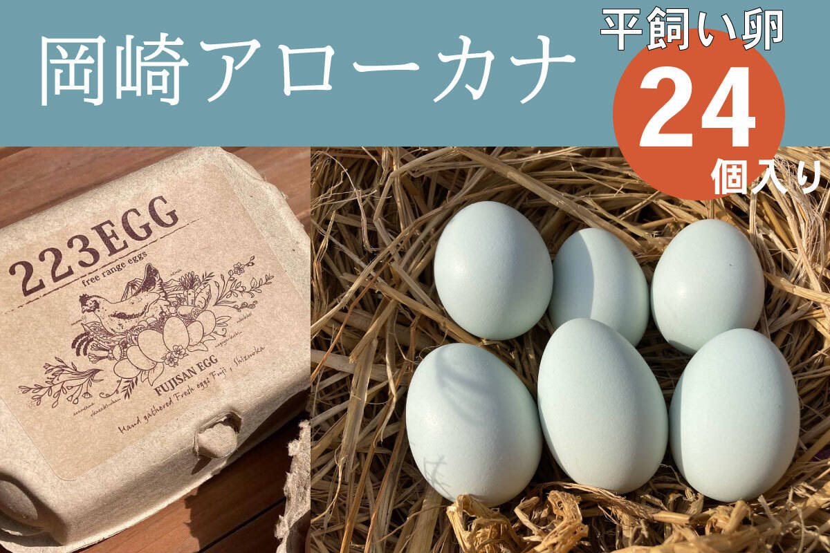 平飼い 卵 24個セット］ 岡崎アローカナ 223EGG たまご：静岡県産の卵