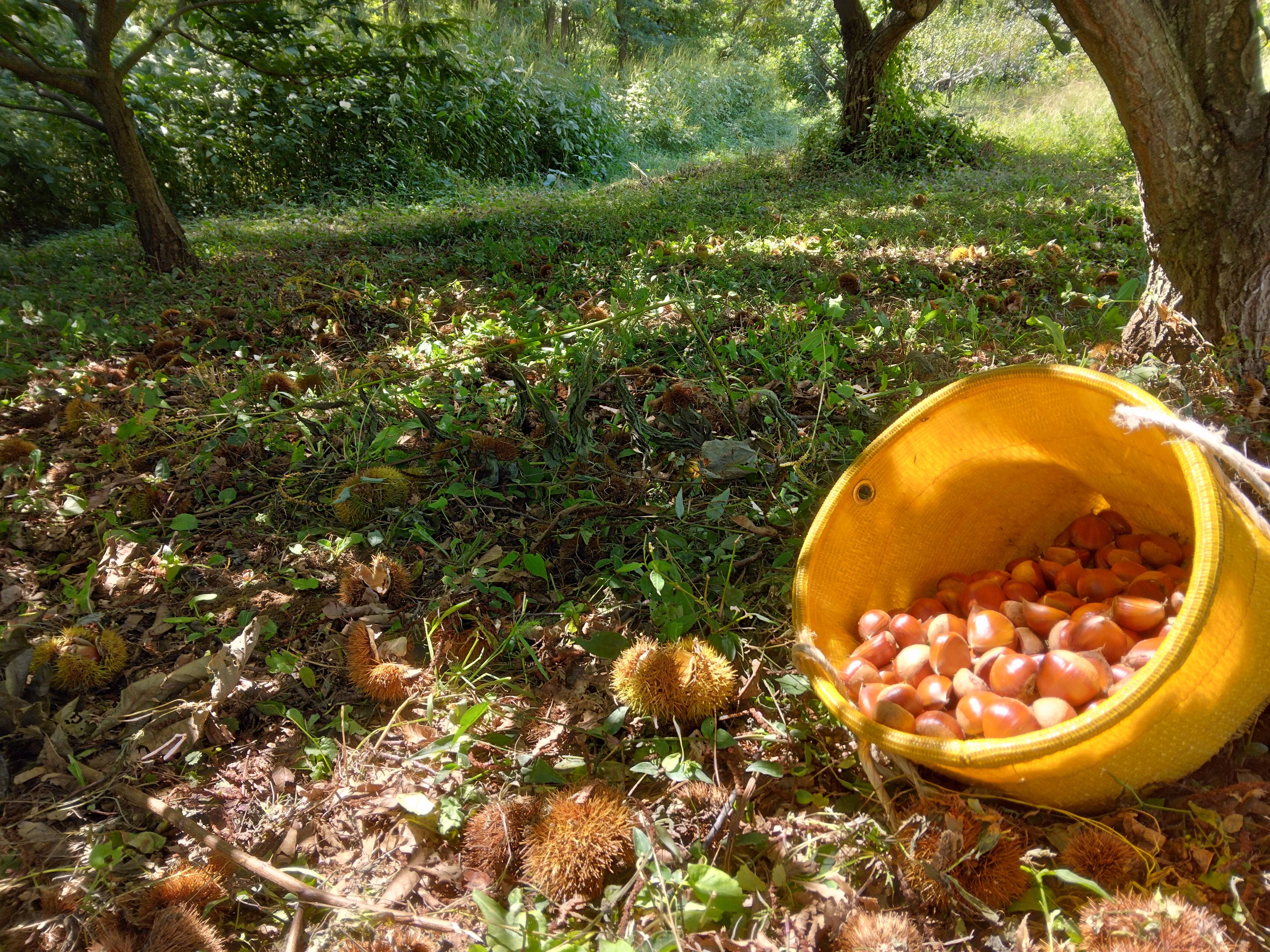 f9445adbad5f8633631914a571b81f