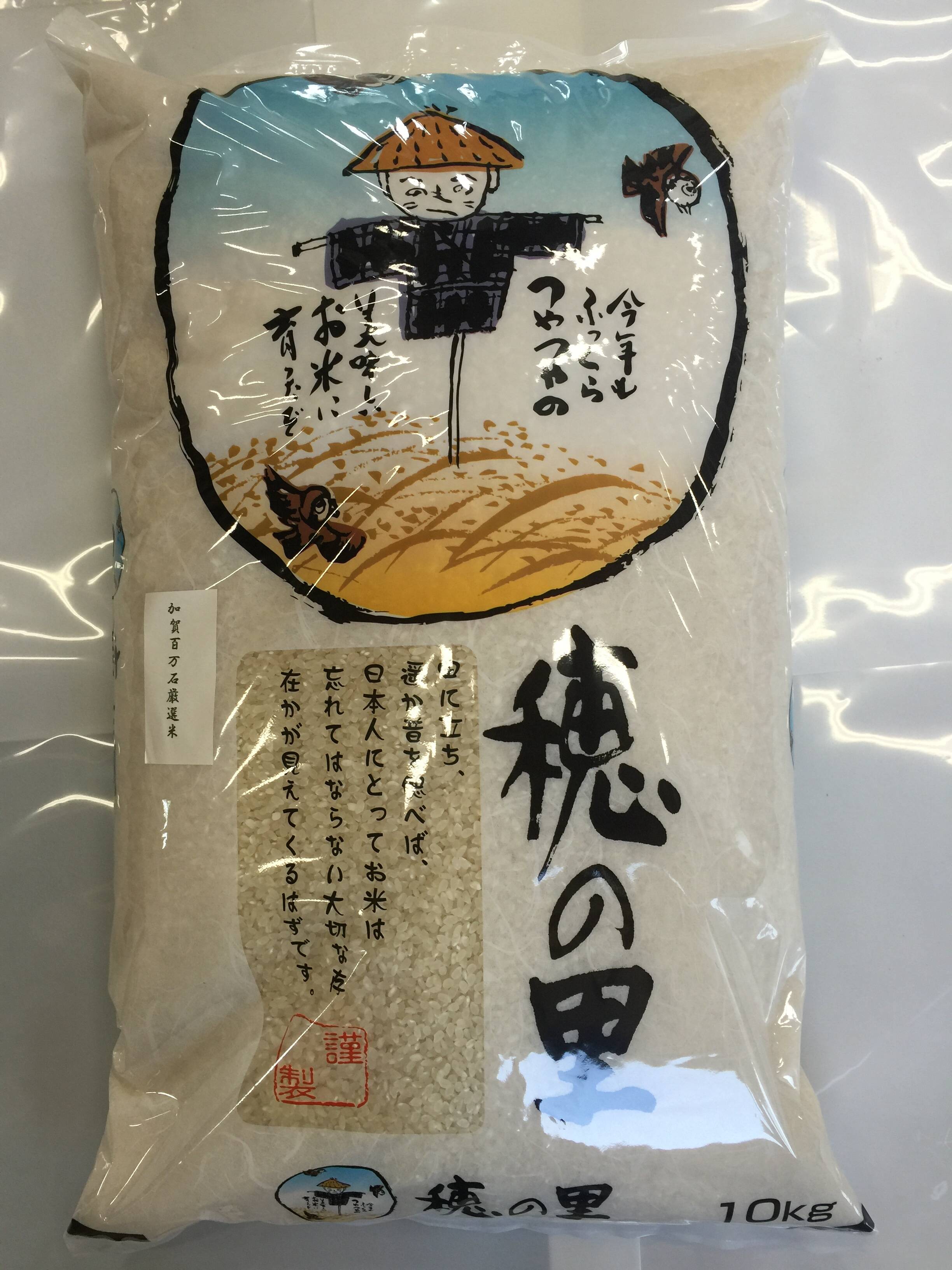 令和5年産 石川県産 厳選コシヒカリ 白米 10kg：石川県産のお米｜食べ