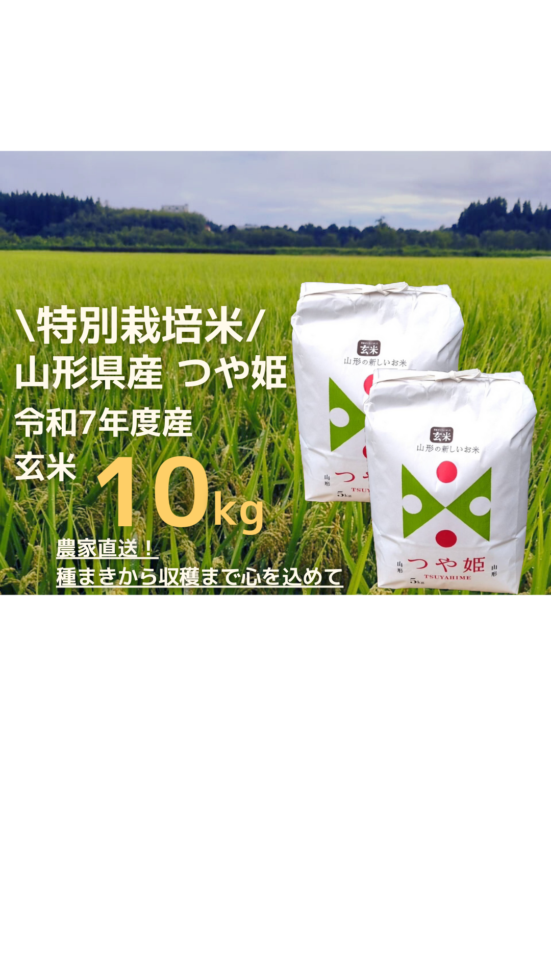 つや姫　10kg 玄米　山形　令和7年　特別栽培米 令和7年新米】特別栽培米つや姫玄米10kg：山形県産のお米｜食べチョク