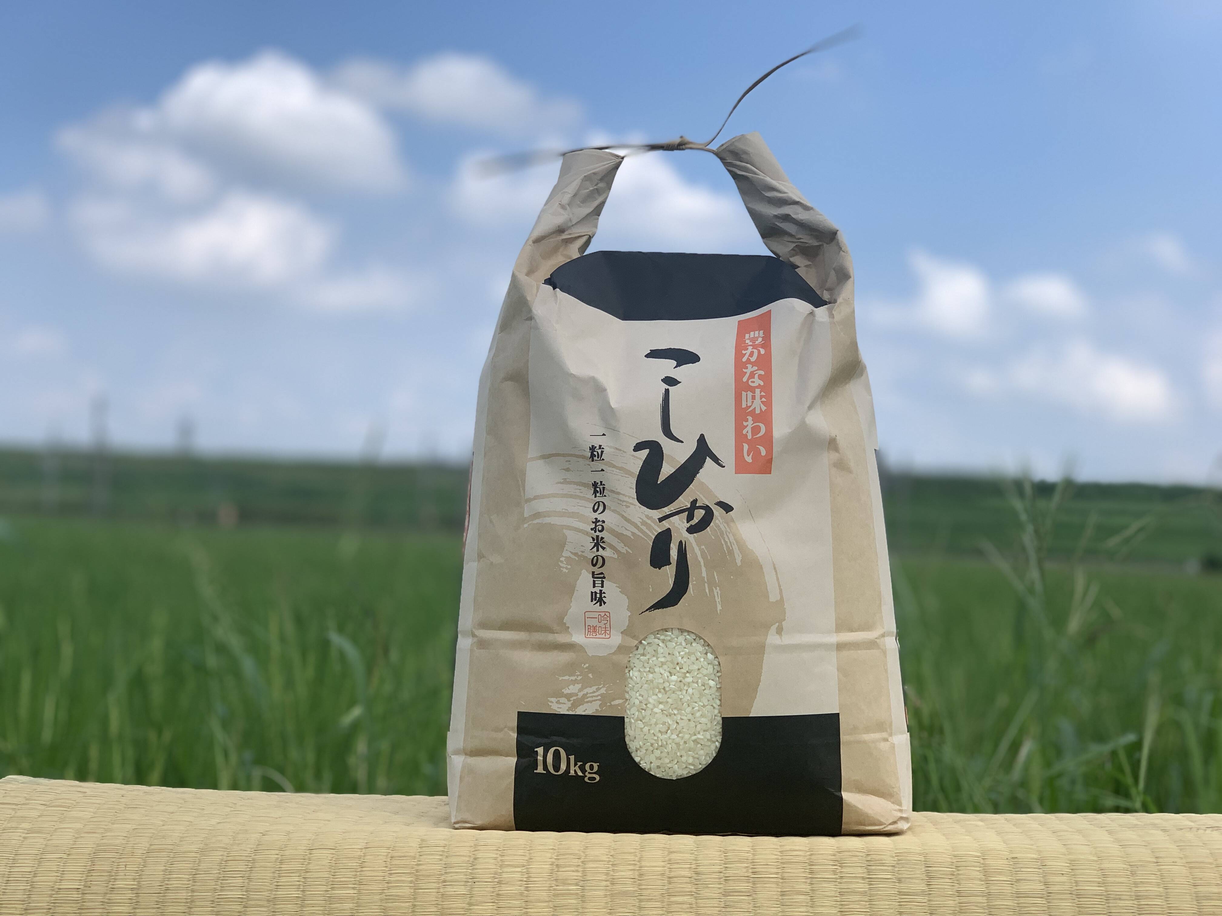 一等米 ❣️コシヒカリ玄米30キロ（埼玉北川辺産）新米・令和3年、農家 