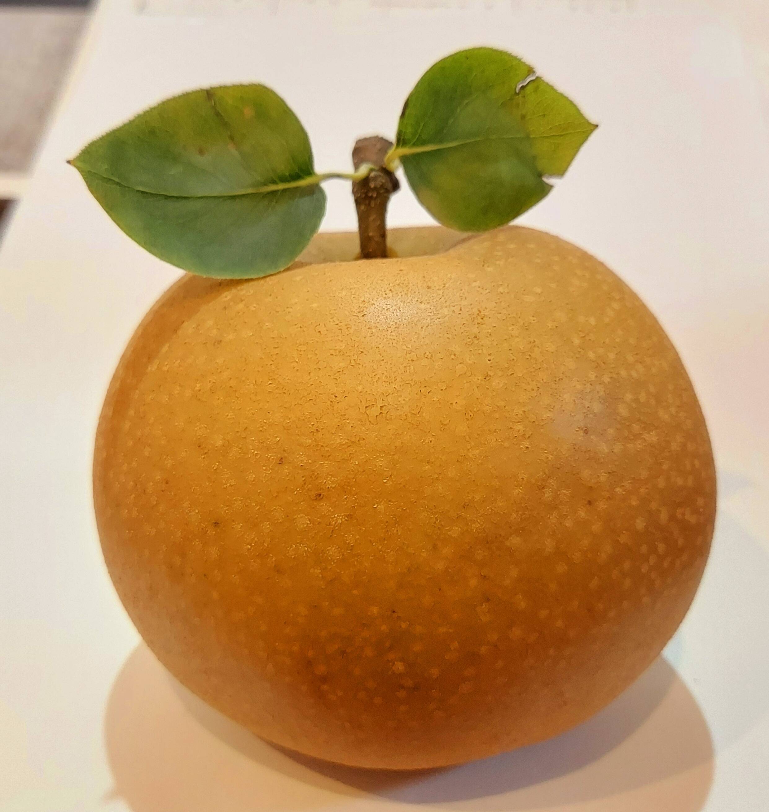 ⚠️YUKA⚠️茨城県産　梨/甘太　訳あり品 3キロ 10～16個入 食品・飲料・酒 ⚠️YUKA様専用⚠️茨城県産 梨/