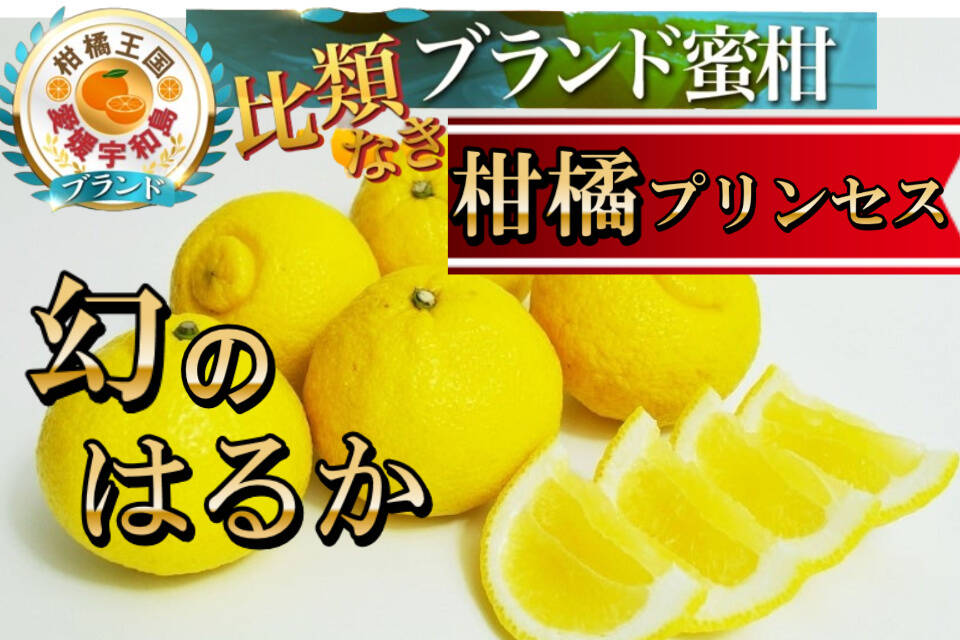 f9ccdb108dd0776b5ee49d650ae302