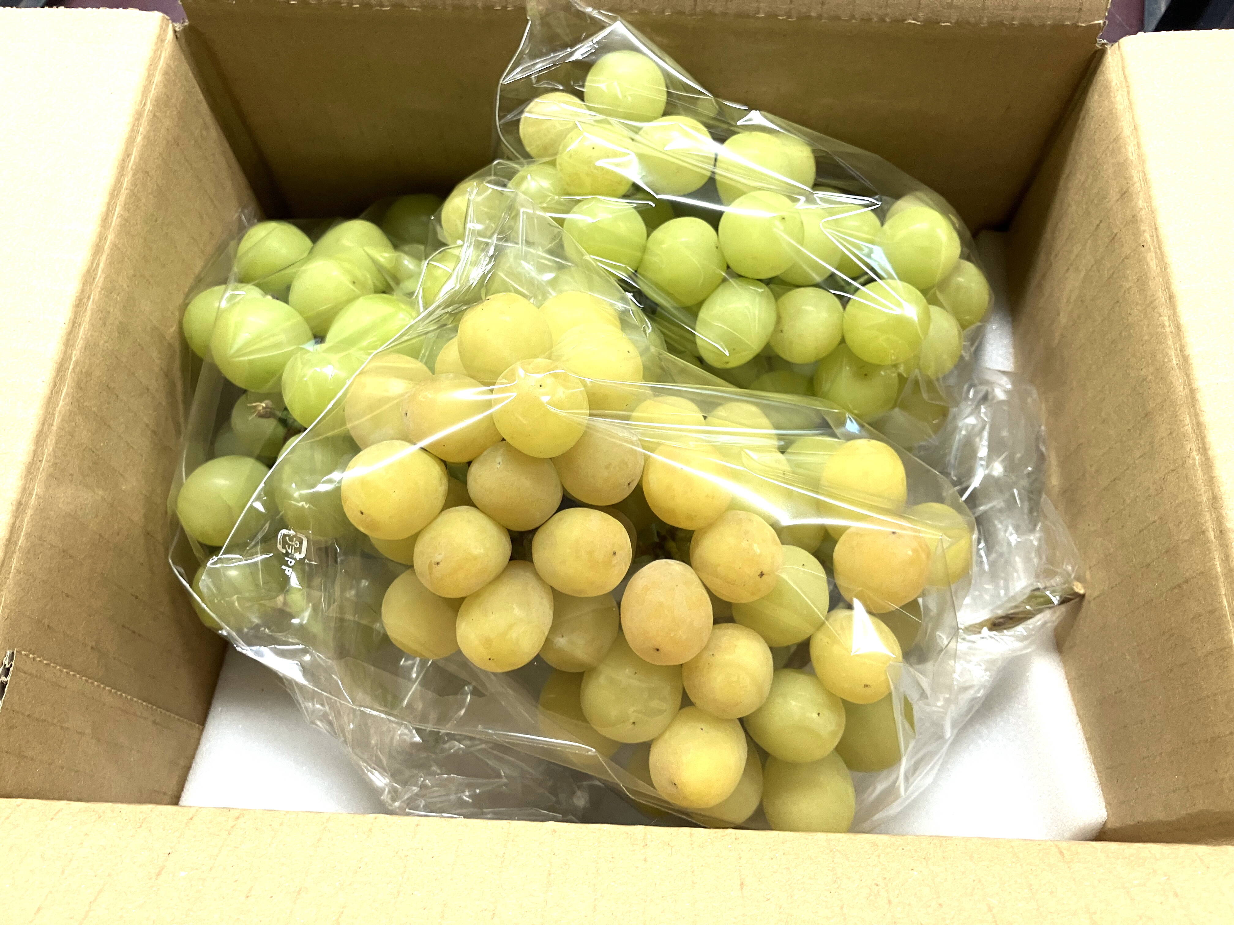 食べチョク登録記念 2025年限定山梨県産ゴールドシャイン