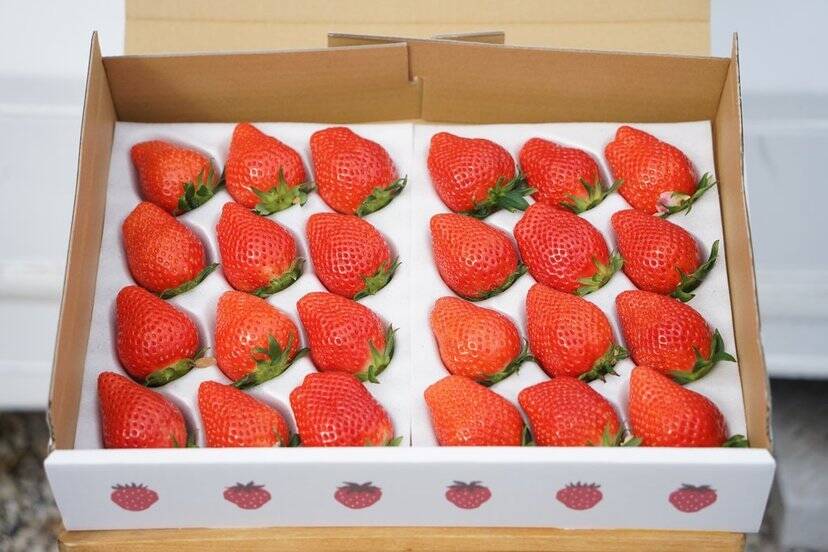 fa63a559ade21db431fb1c9df2ad84