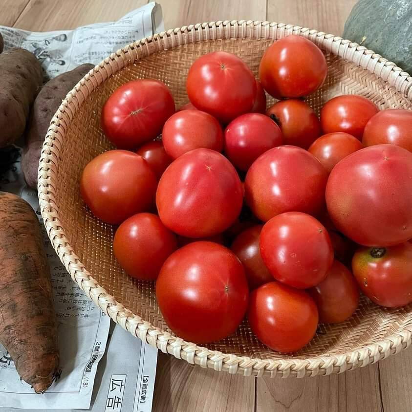 今シーズントマト🍅終了しました｜食べチョク｜産地直送(産直)お