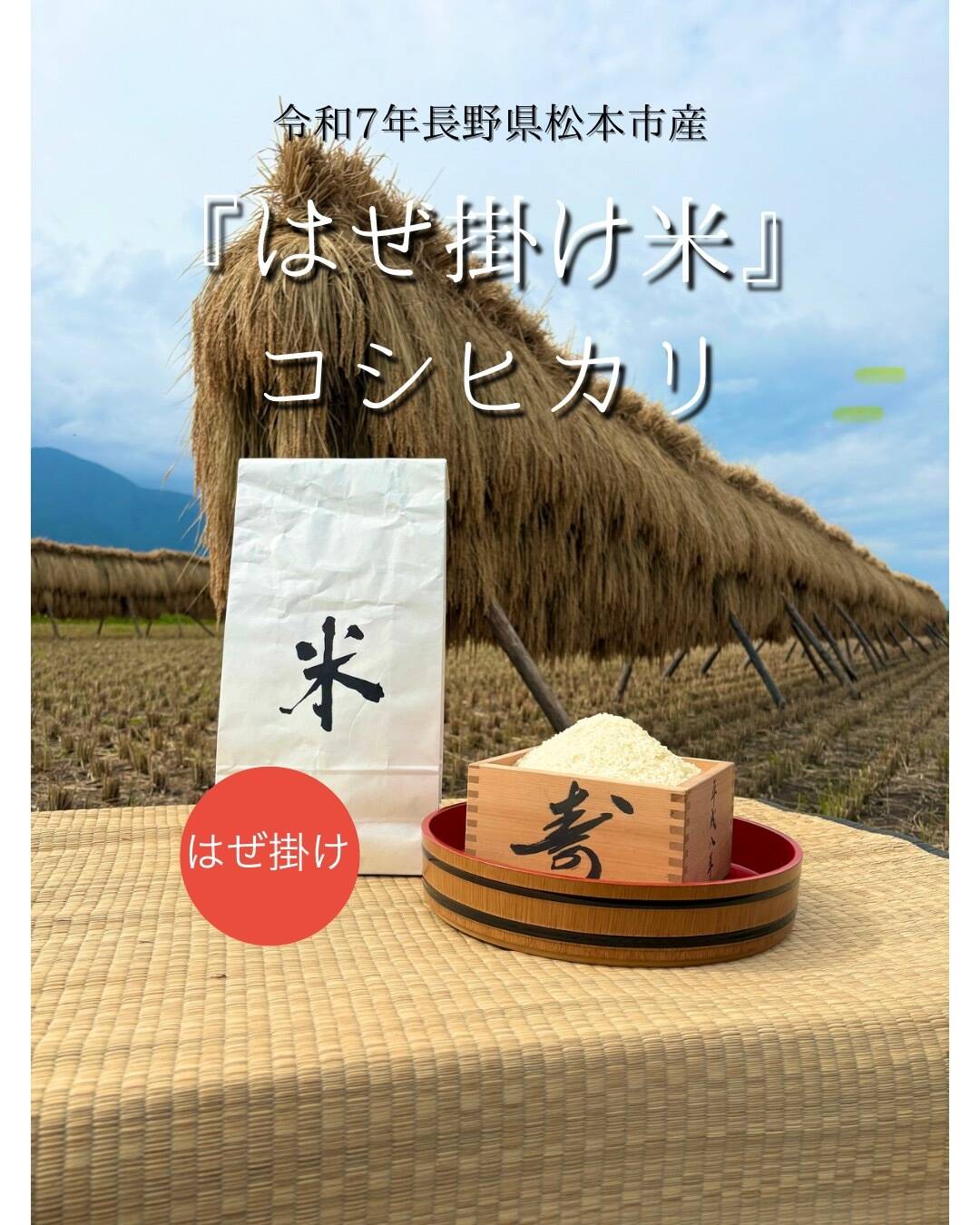 令和7年松本市産『はぜ掛け米』コシヒカリ(5kg 送料別)：長野県産の