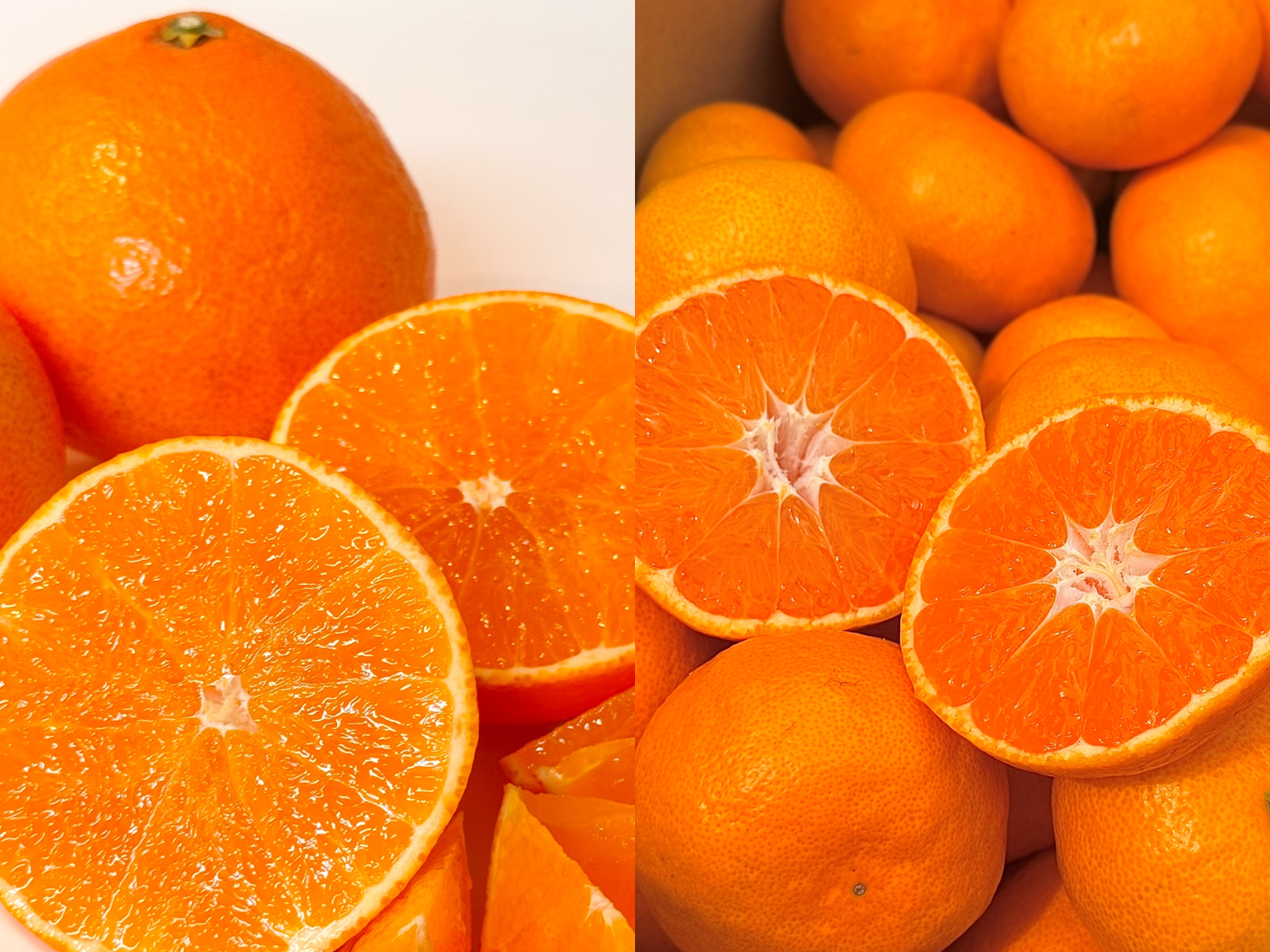 旬は一瞬】福まどんな + 福みかん 各2kg《ご家庭用》｜サイズ混合