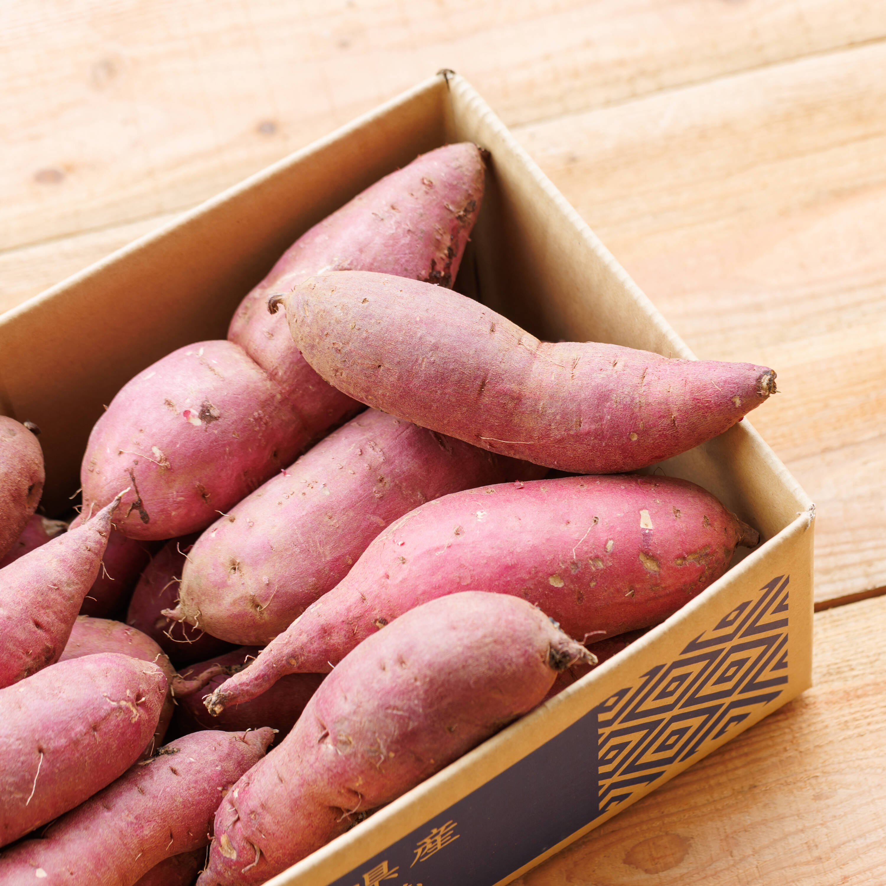 fad51d02e6889b6c0ceadf84515c93