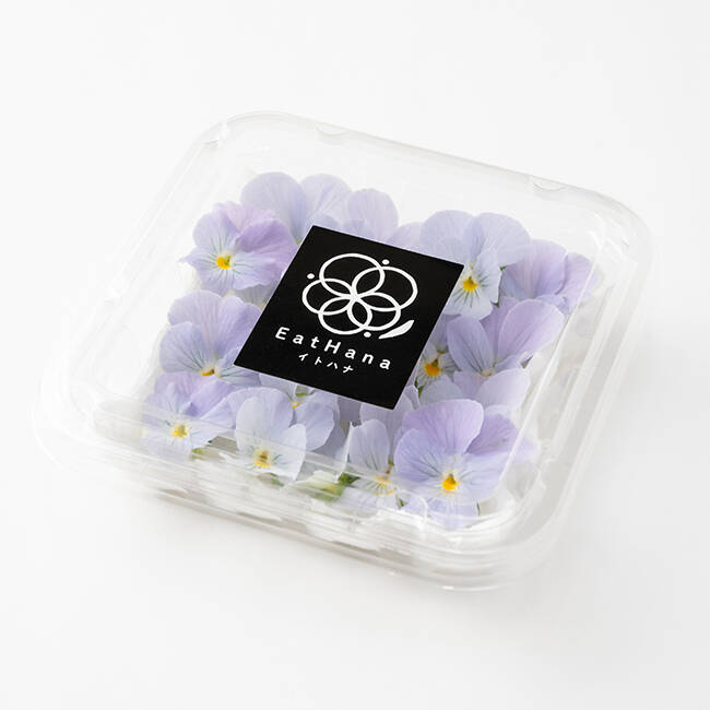 fad5ae7ba09ef451899548eb19a5c2