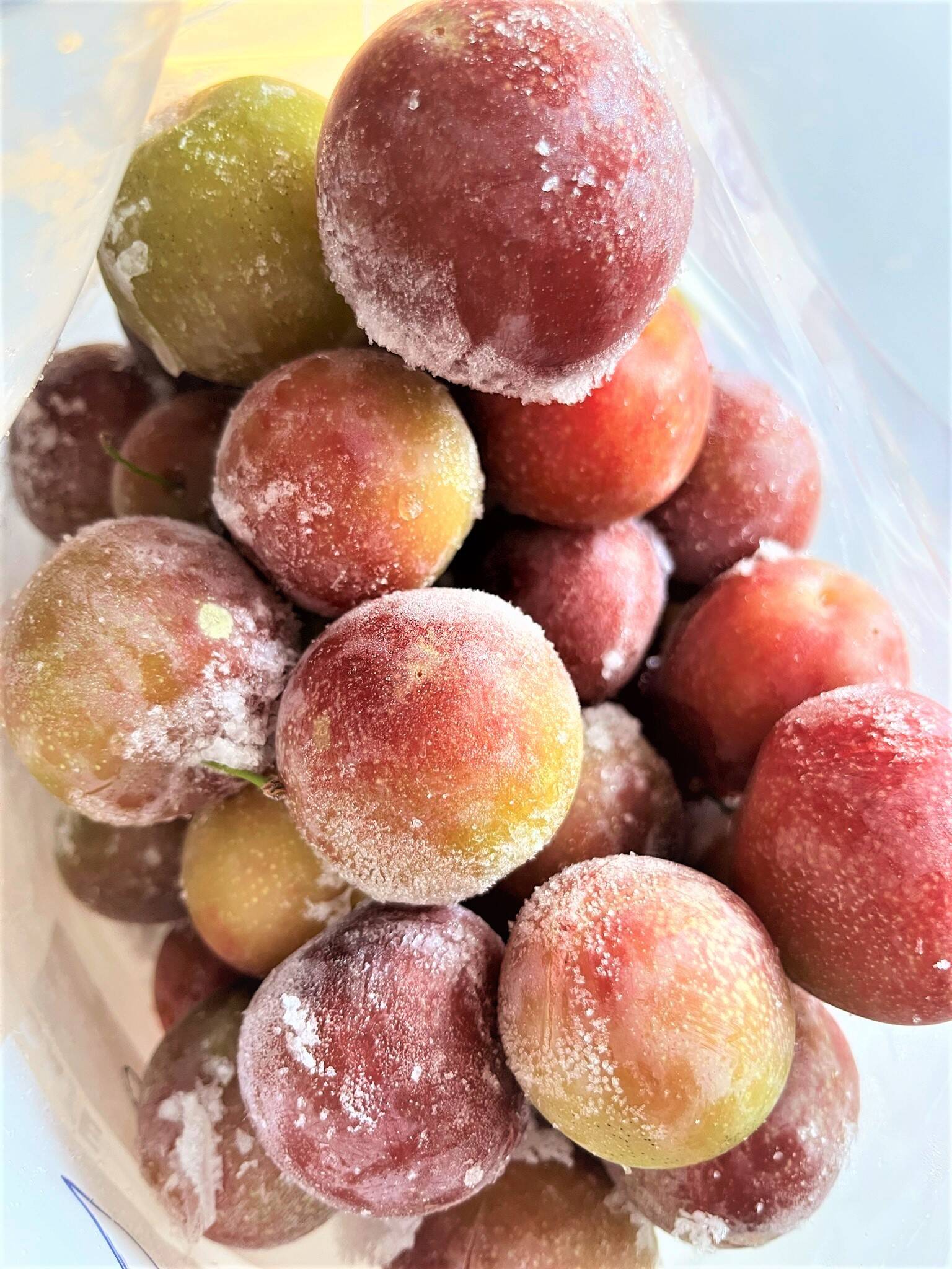 冷凍】 自然栽培 ミラベル 非常に珍しいフランスの果樹 プラム すもも