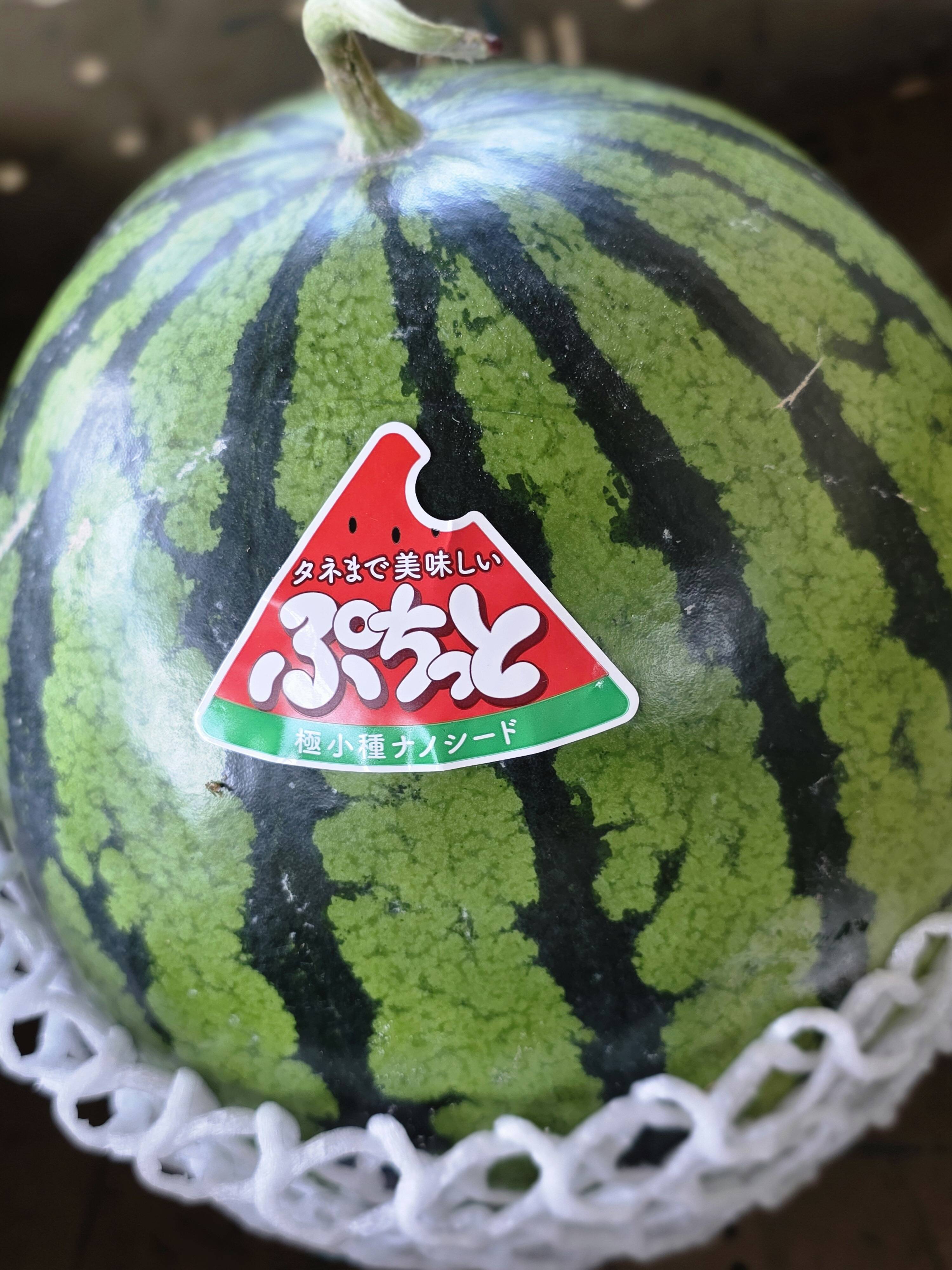 スイカさん専用16インチスタッドレス Amazon | 【適合車種:スズキ ジムニー(JB64W)2018-】 ダンロップ