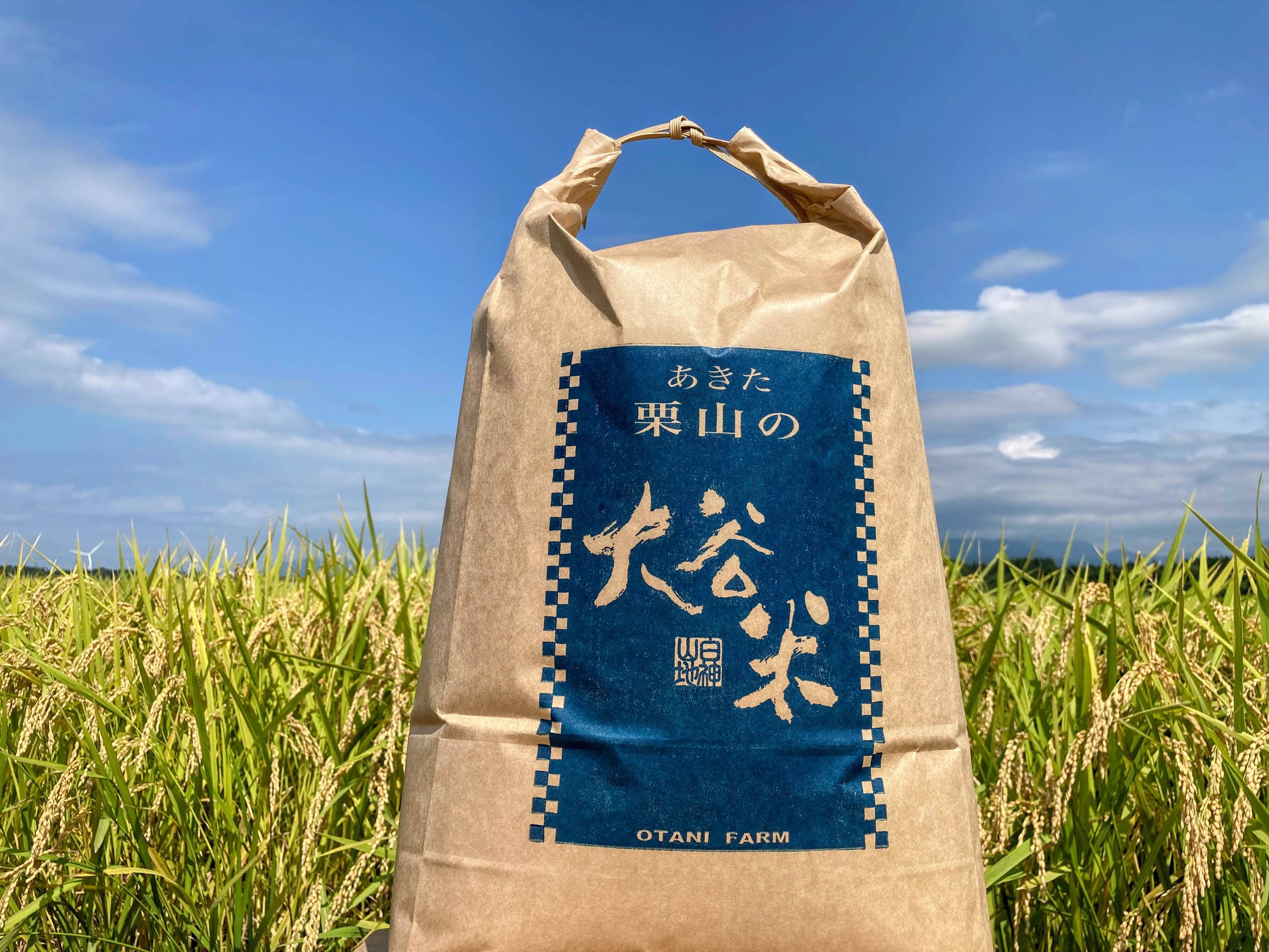精米 9kg 令和6年産「大谷米」 もっちり甘い 単一農家米100