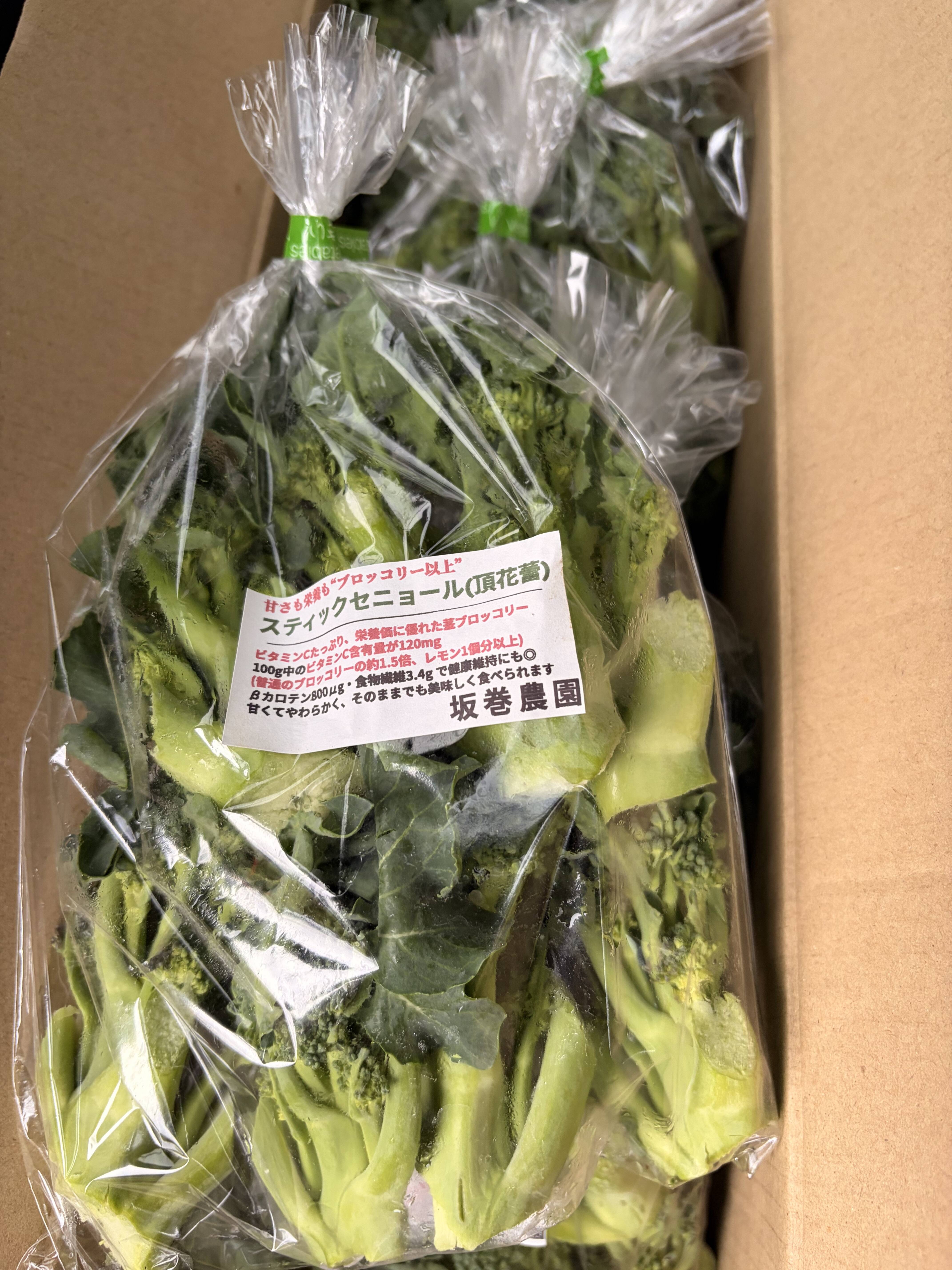 スティックセニョール 頂花蕾 2kg 数量限定：埼玉県産のスティック 