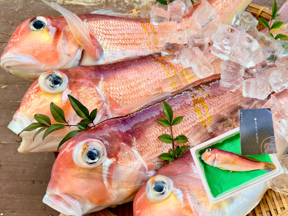 一尾で味わう】上品でやさしい甘みの甘鯛（3尾）：宮崎県産の甘鯛