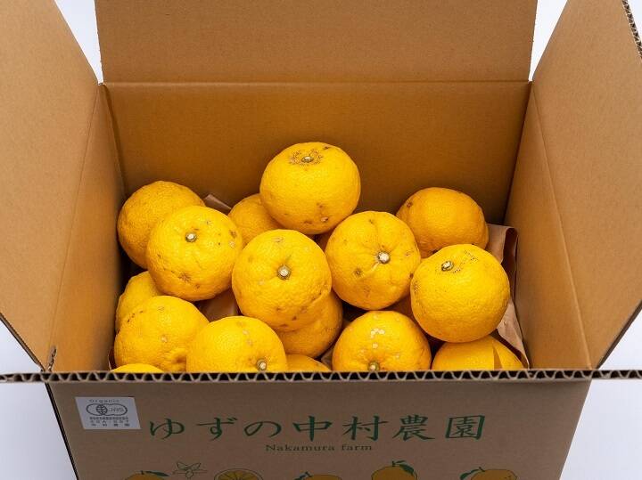 有機JAS 黄色ゆず【良品】3キロ -2025年産-：徳島県産のみかん