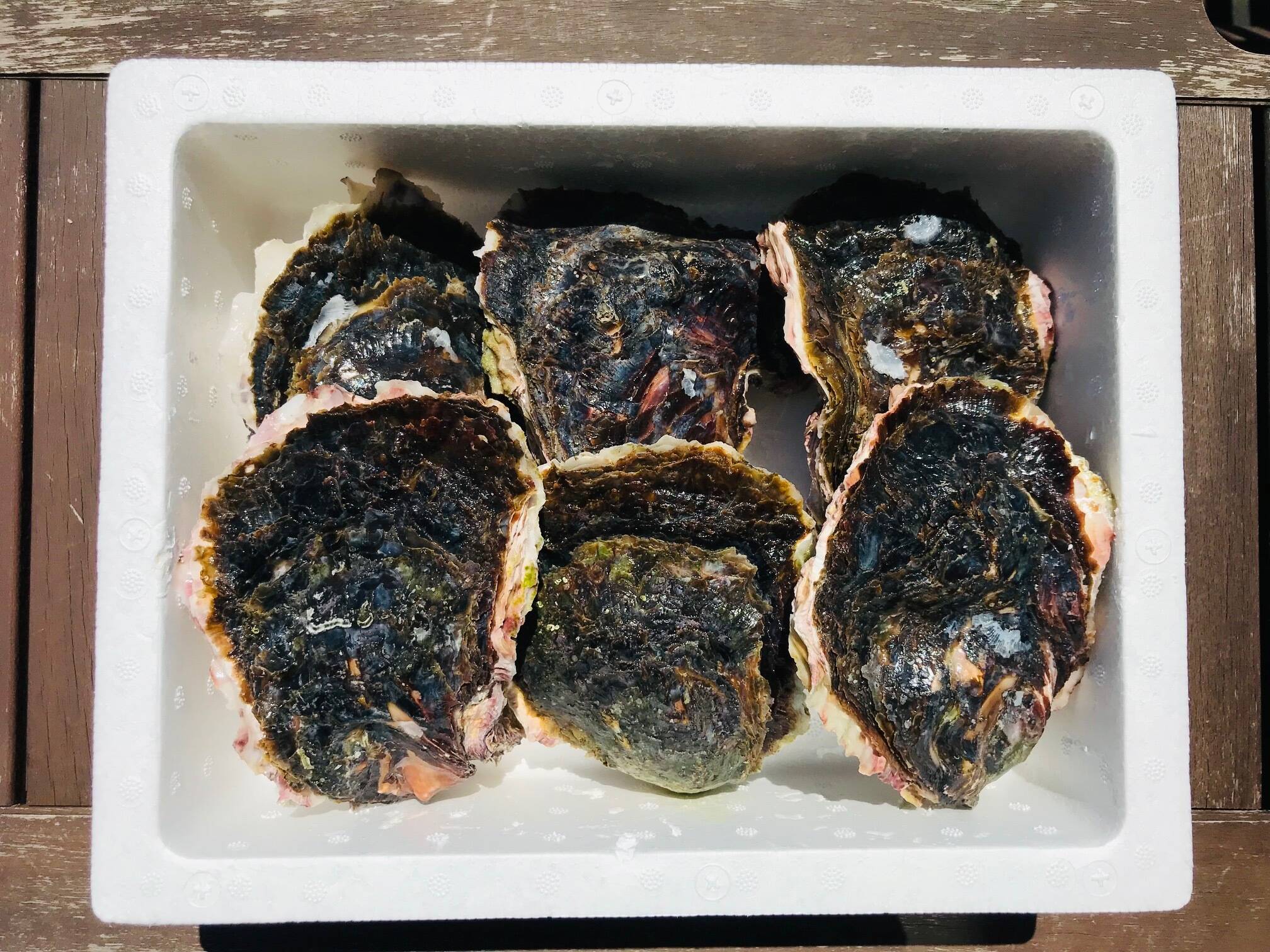 水月焼／岩蟹掘り湯呑／A19 水月焼／岩蟹掘り湯呑／A19 工芸品