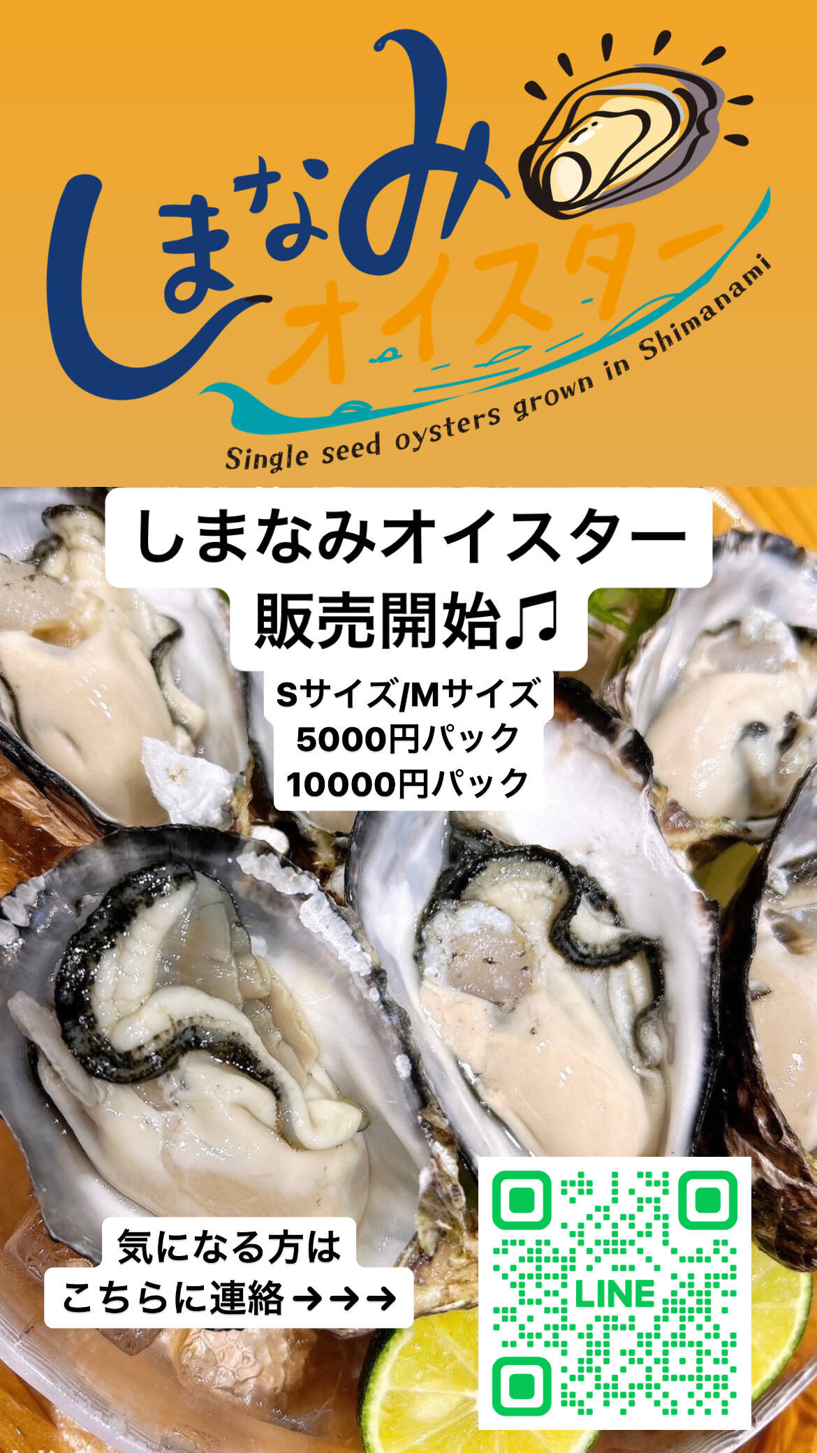 牡蠣さま専用 Lサイズ40個入り:約80～61g/個】加熱用真牡蠣 深日オイスターファーム